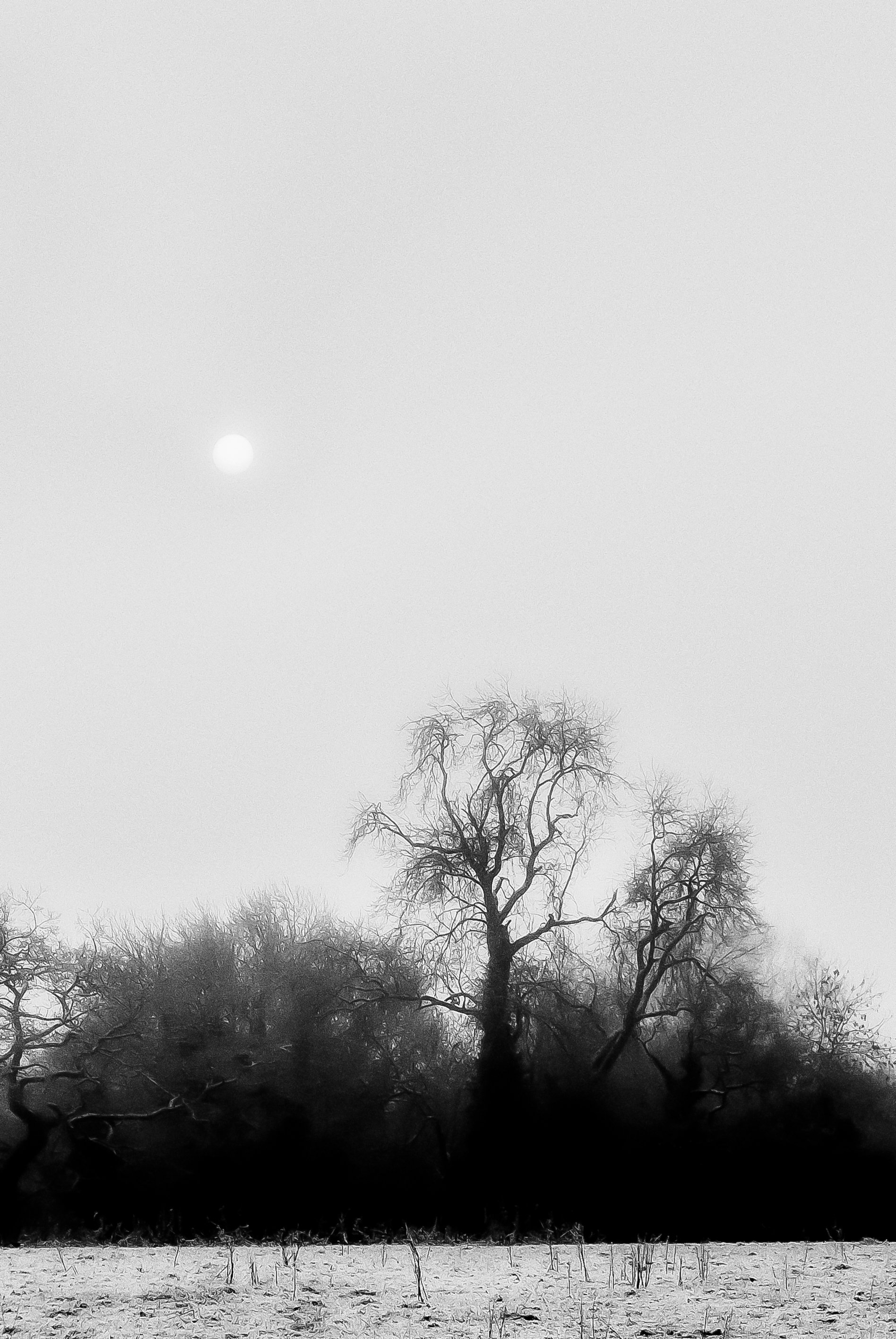 P1060050-PS.jpg
