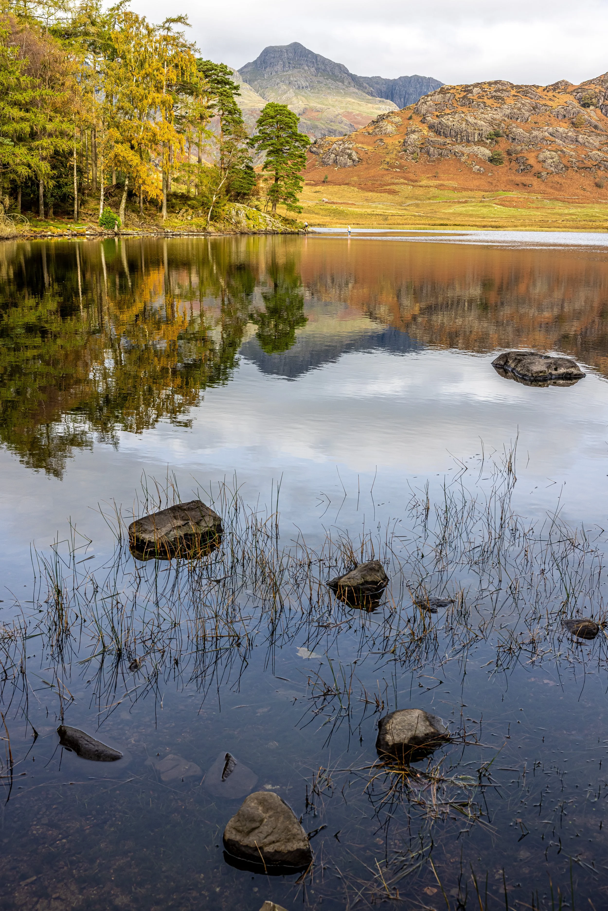 _54A7540.jpg