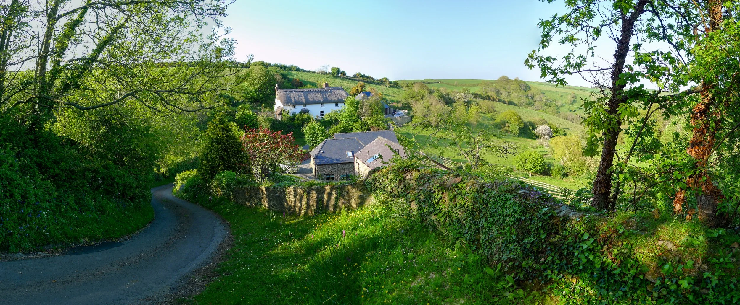 P1020461-PANO.jpg