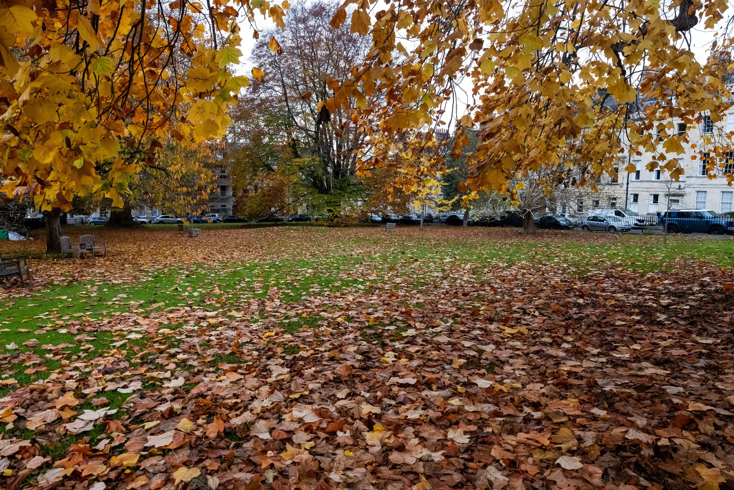 _54A4656.jpg
