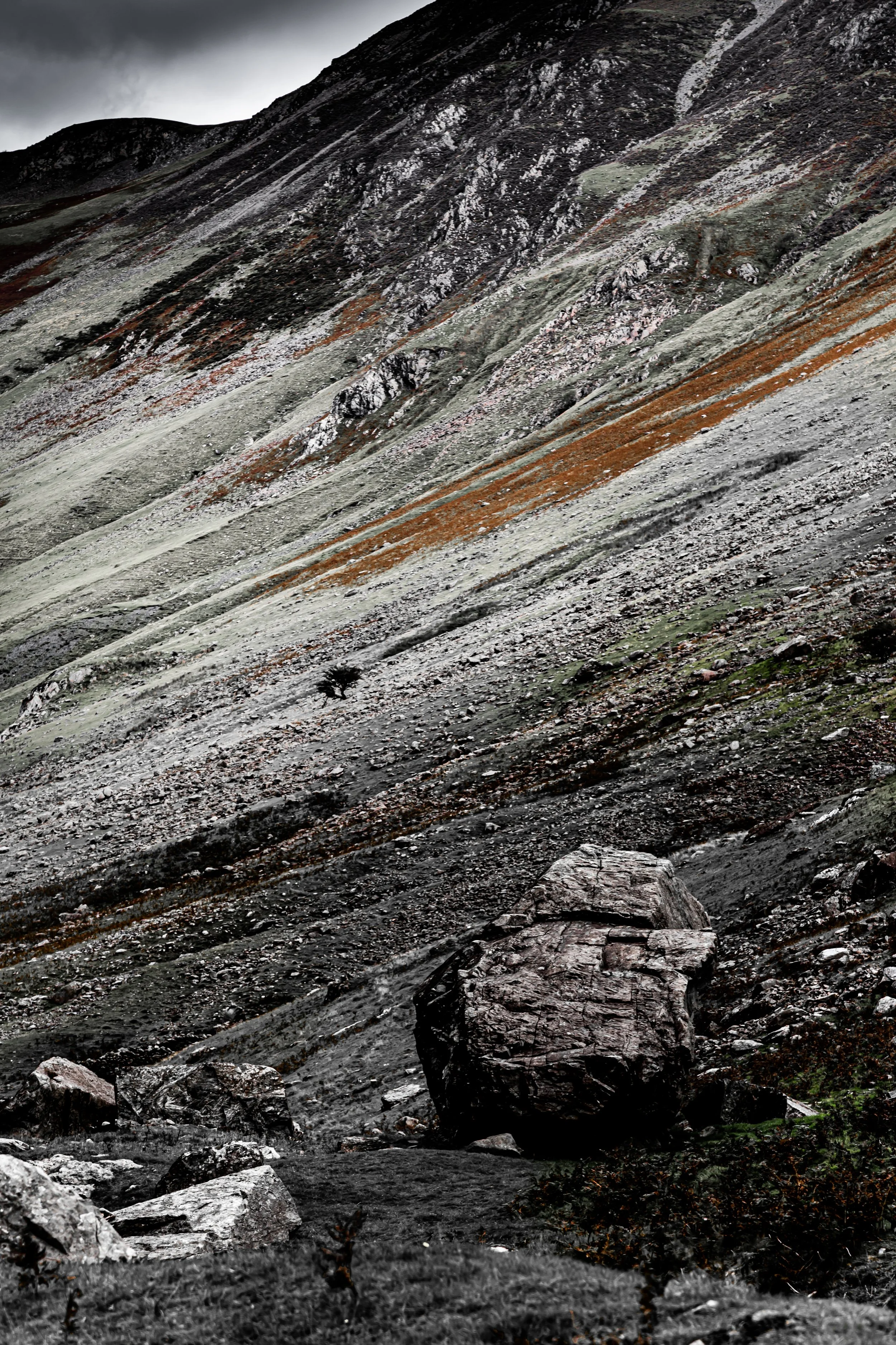 _MG_0828.jpg