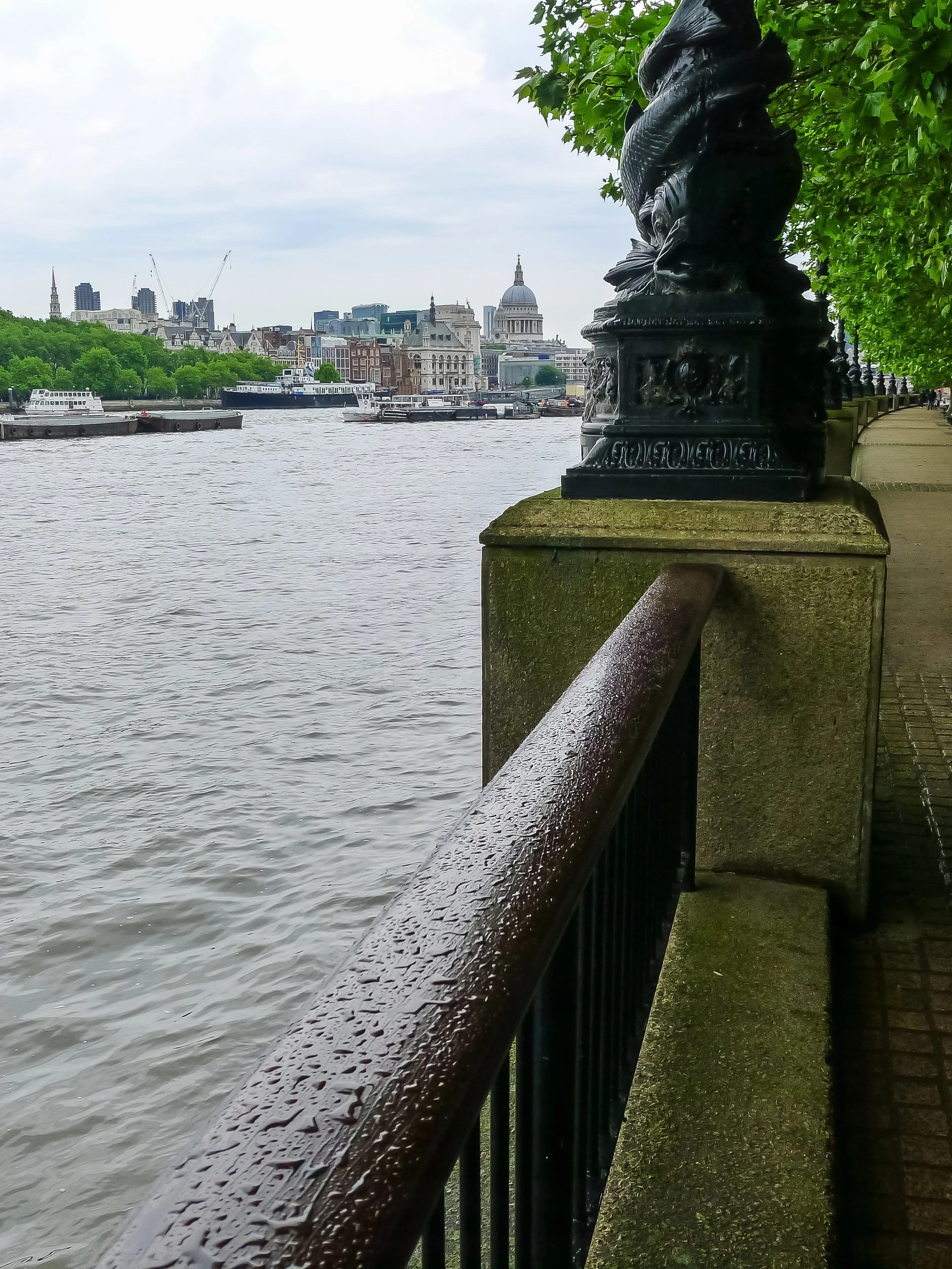 P1030836.jpg