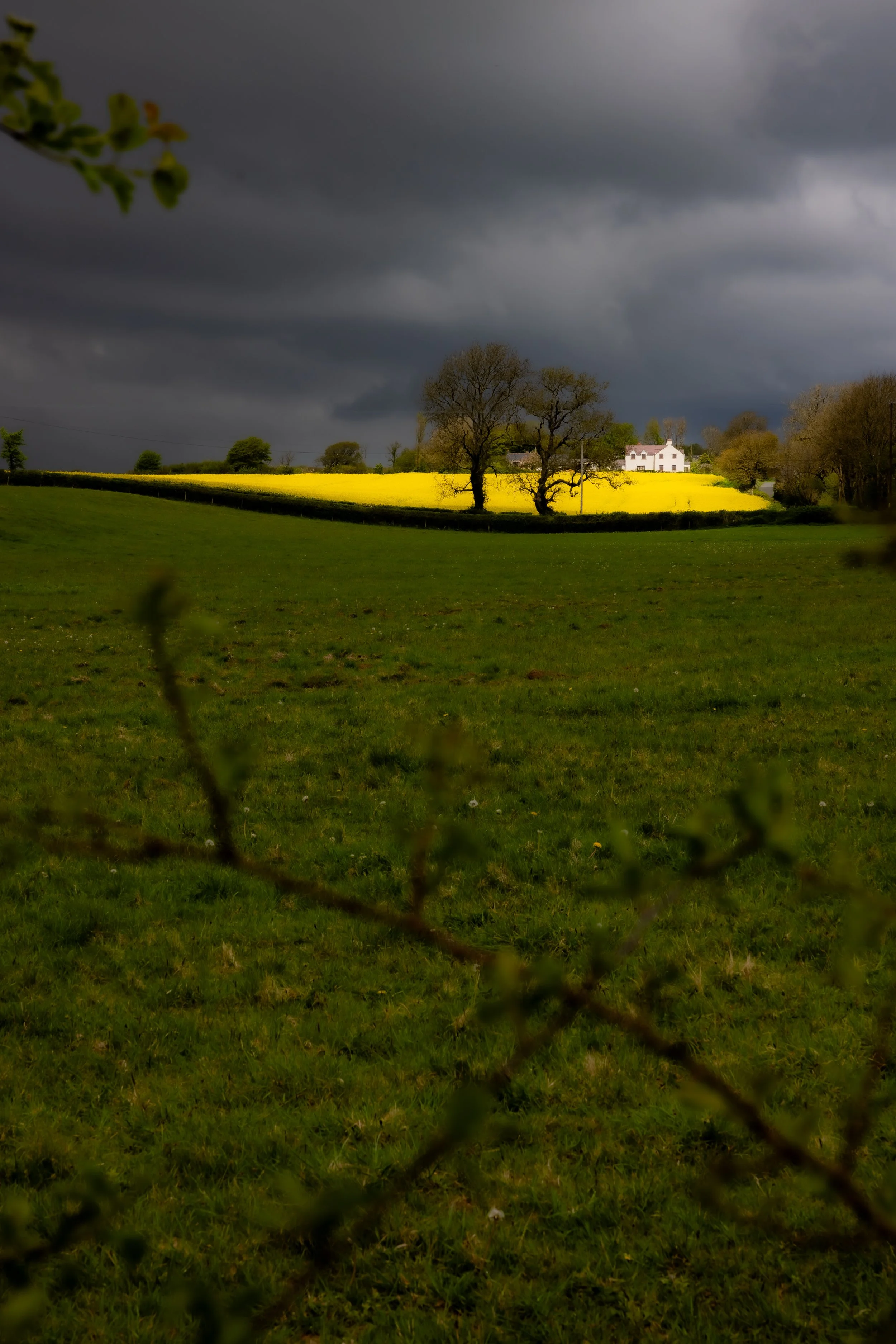 _54A5367.jpg