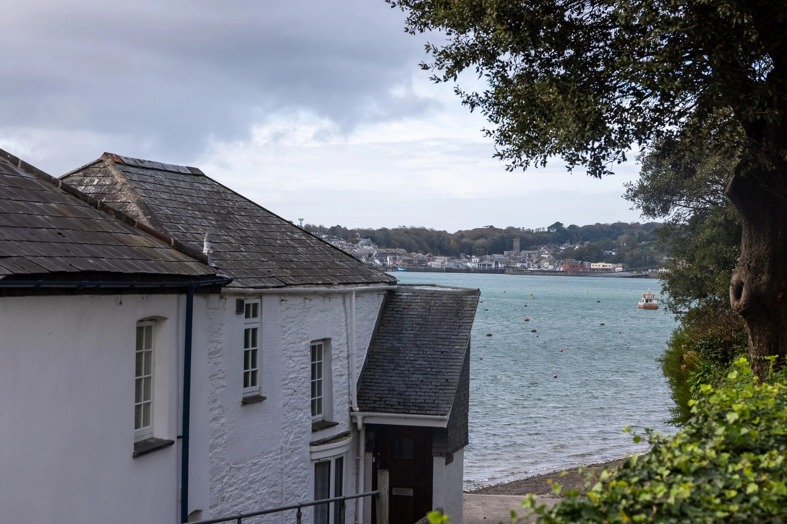 _54A4362.jpg