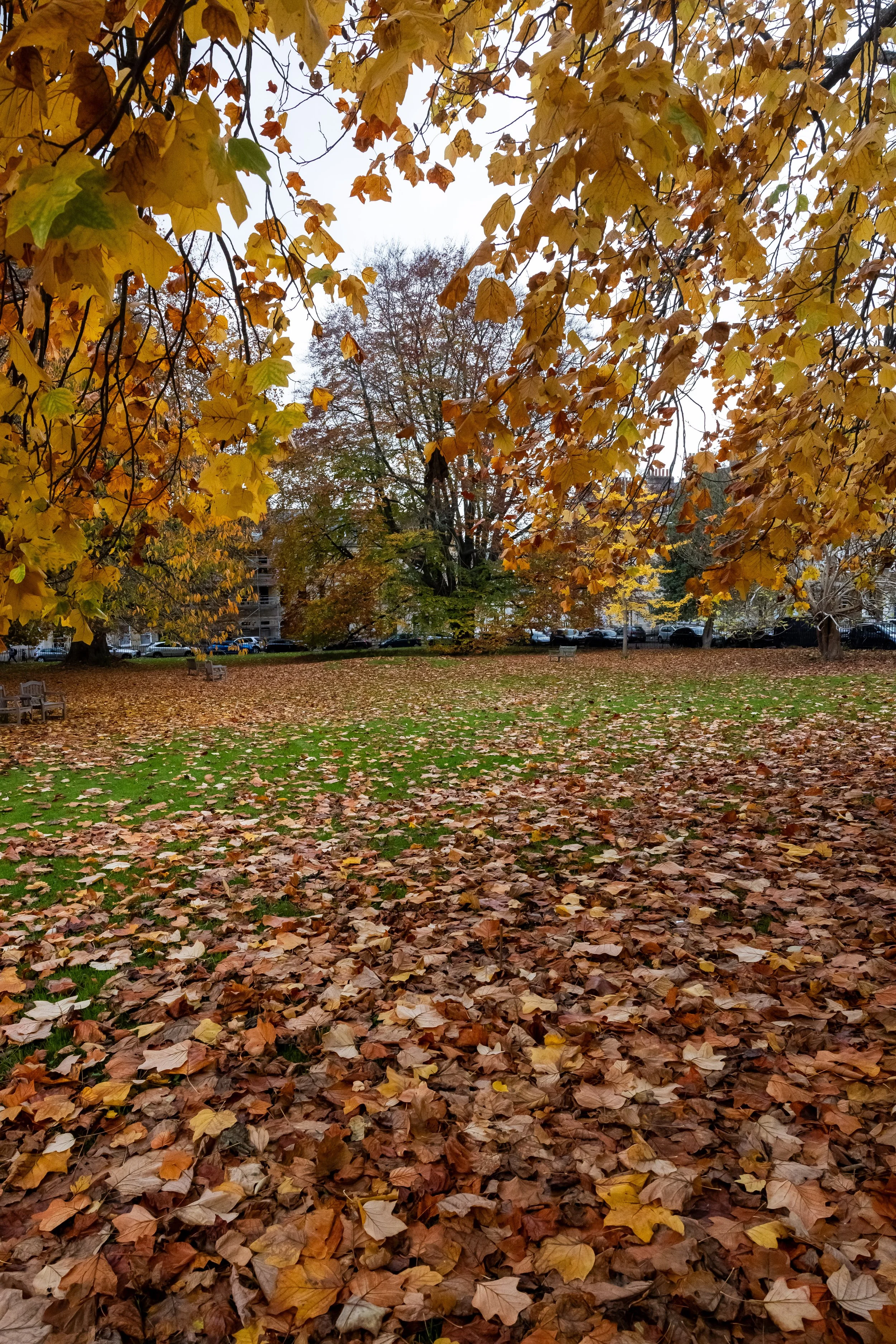 _54A4657.jpg