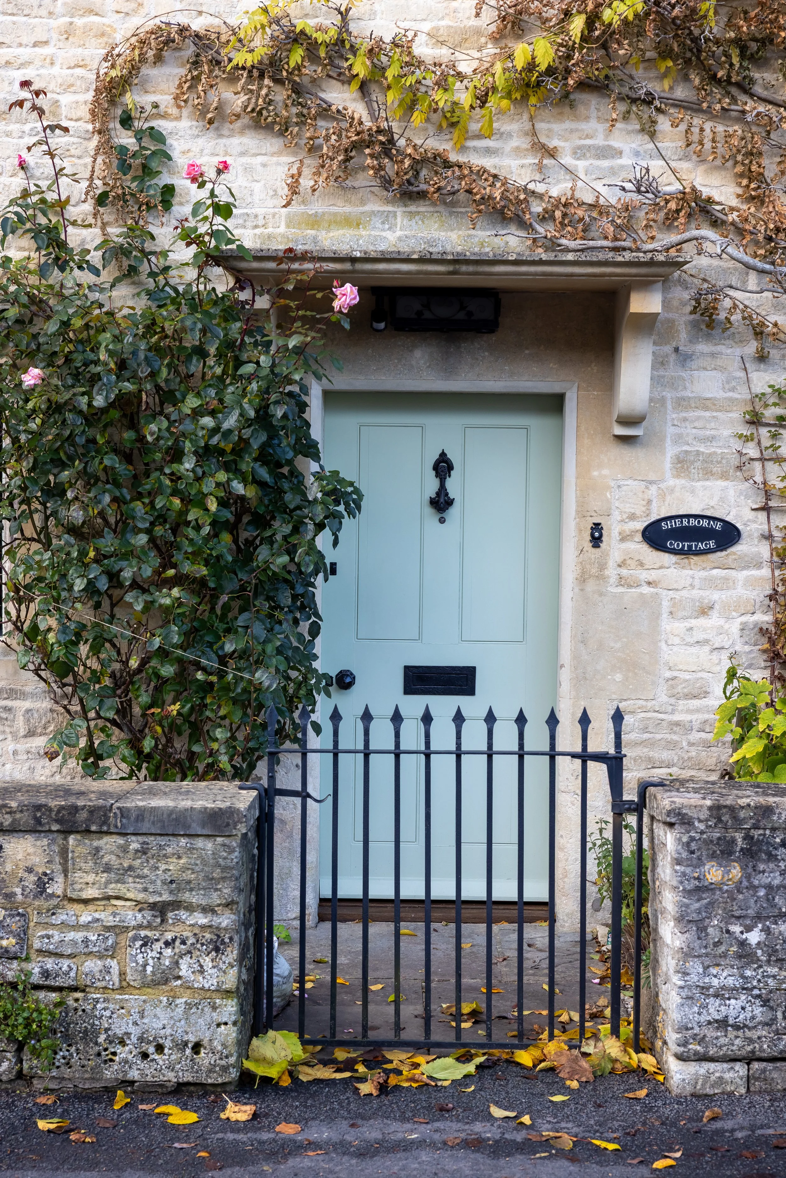 _54A7798.jpg