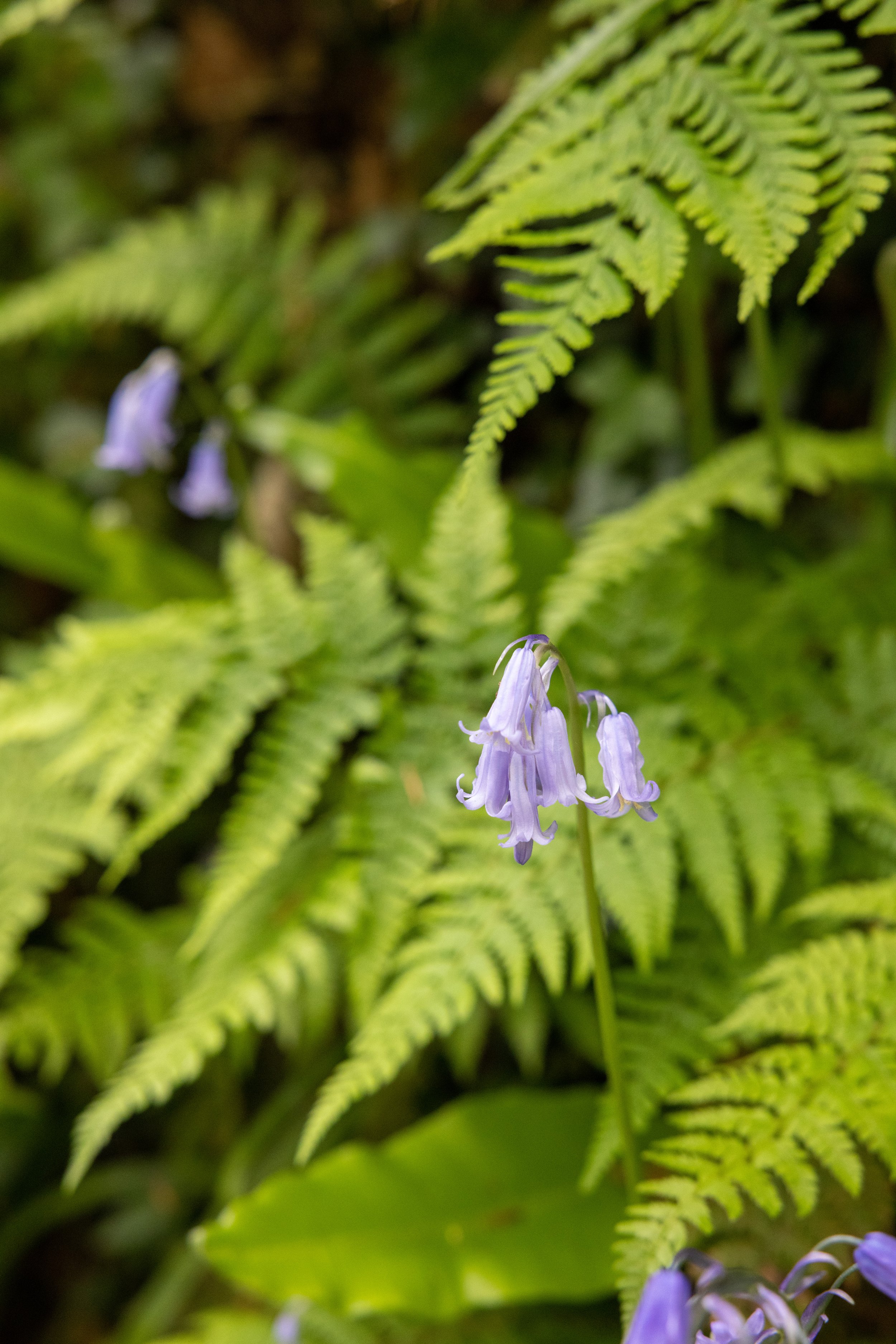 _54A5751.jpg