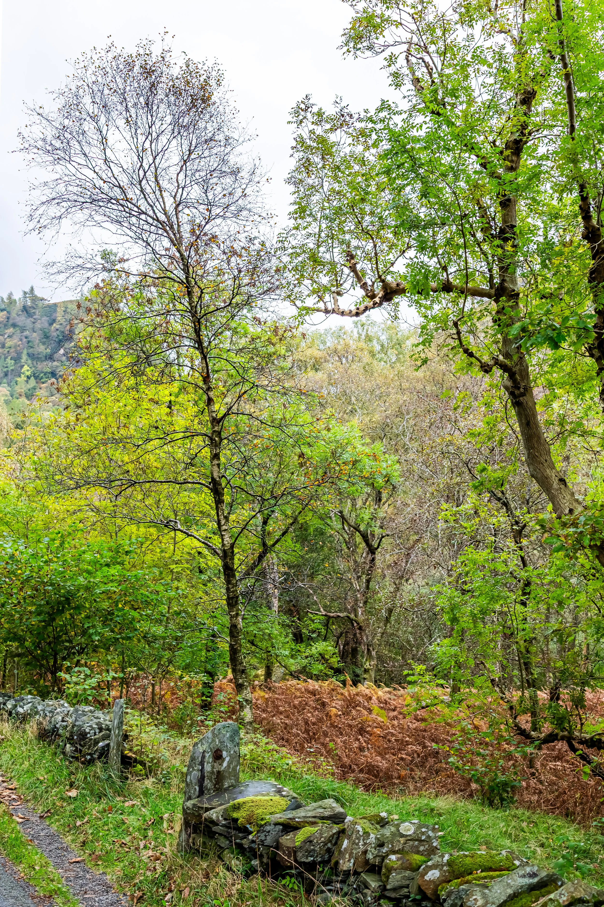 _MG_2420-HDR.jpg