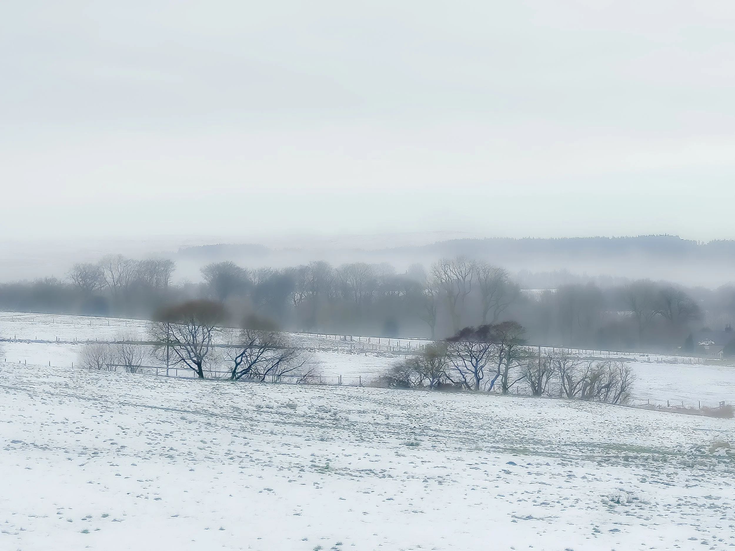 IMG_6733-PAI.jpg