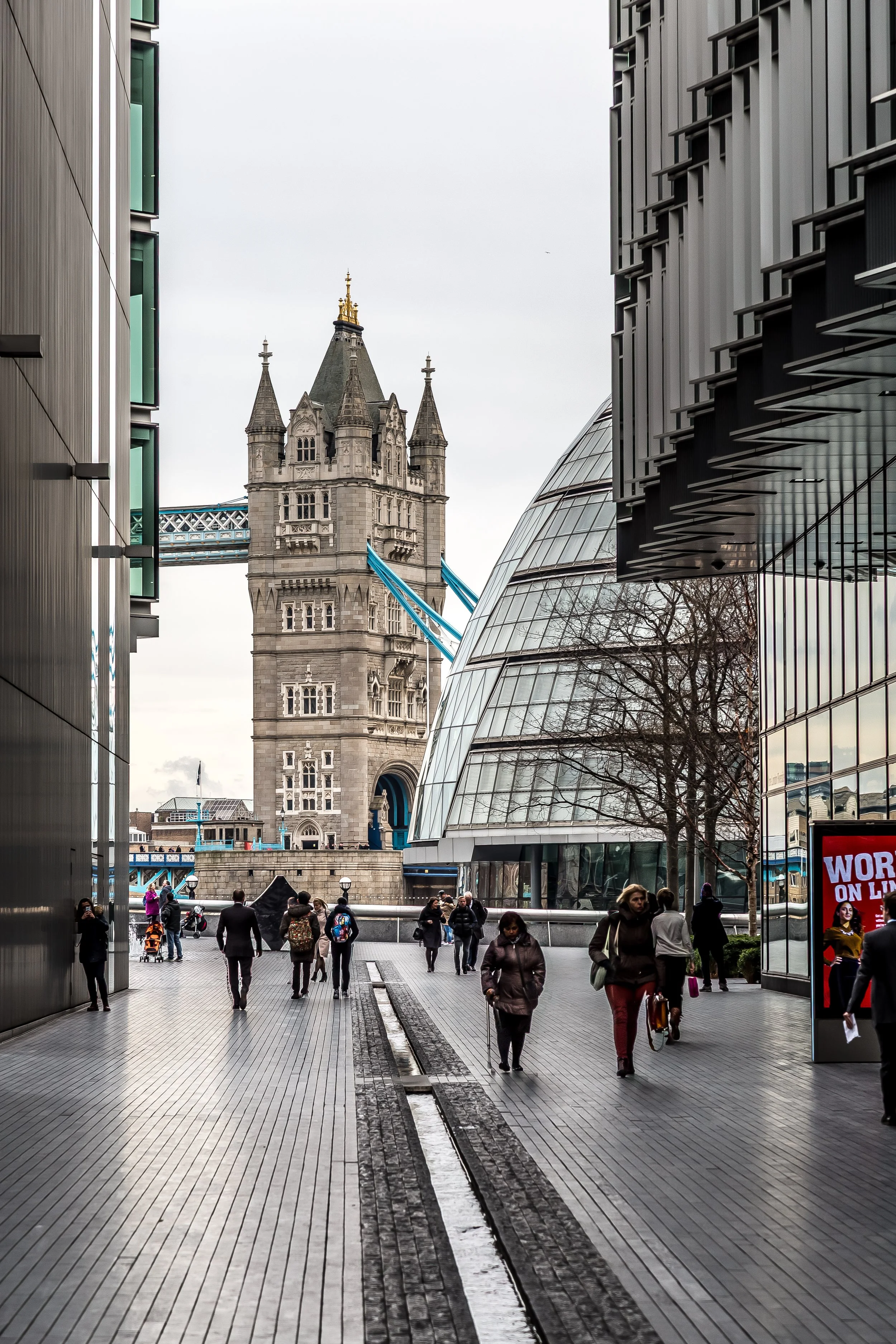 _MG_3361-HDR.jpg