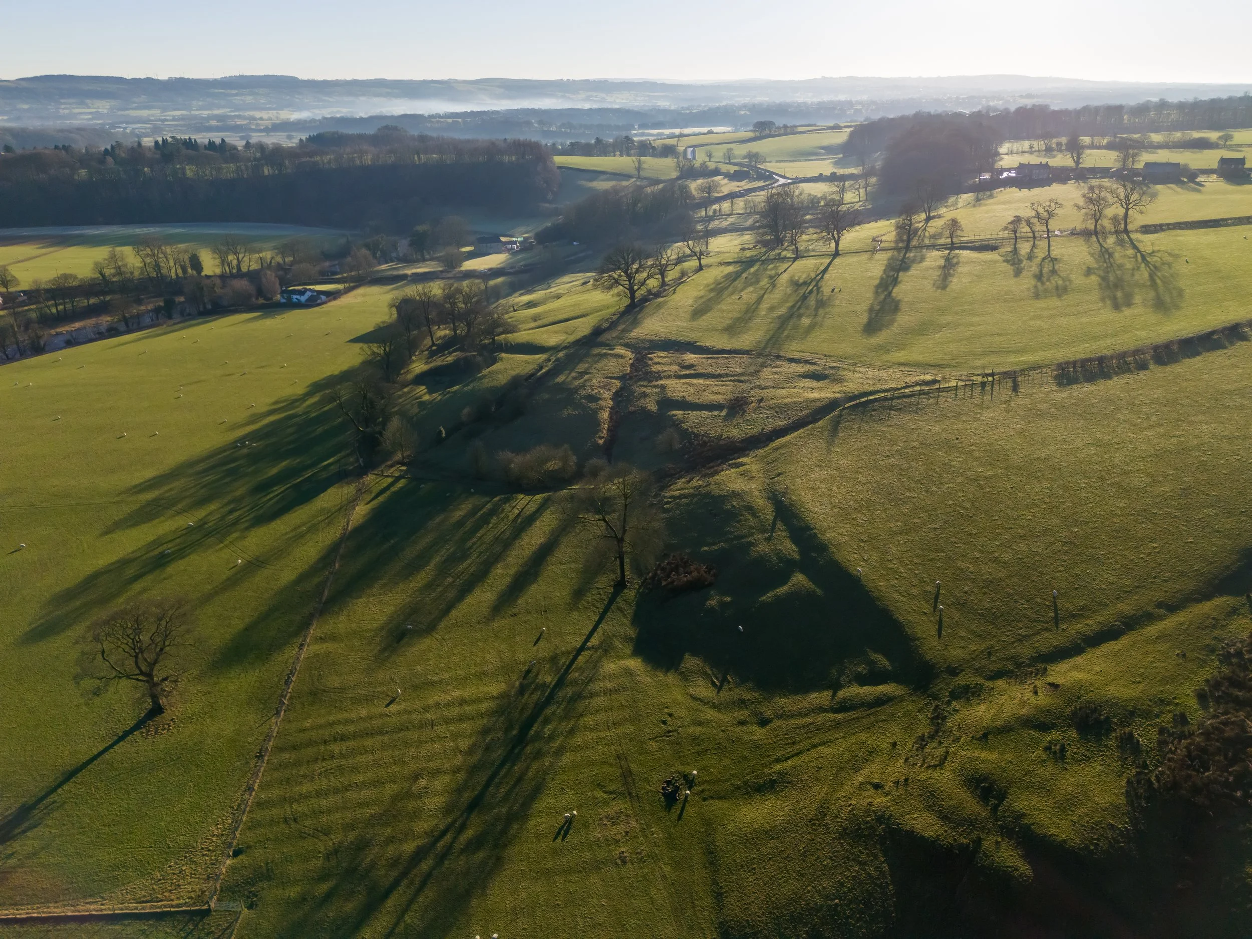 DJI_20250116141508_0066_D.jpg