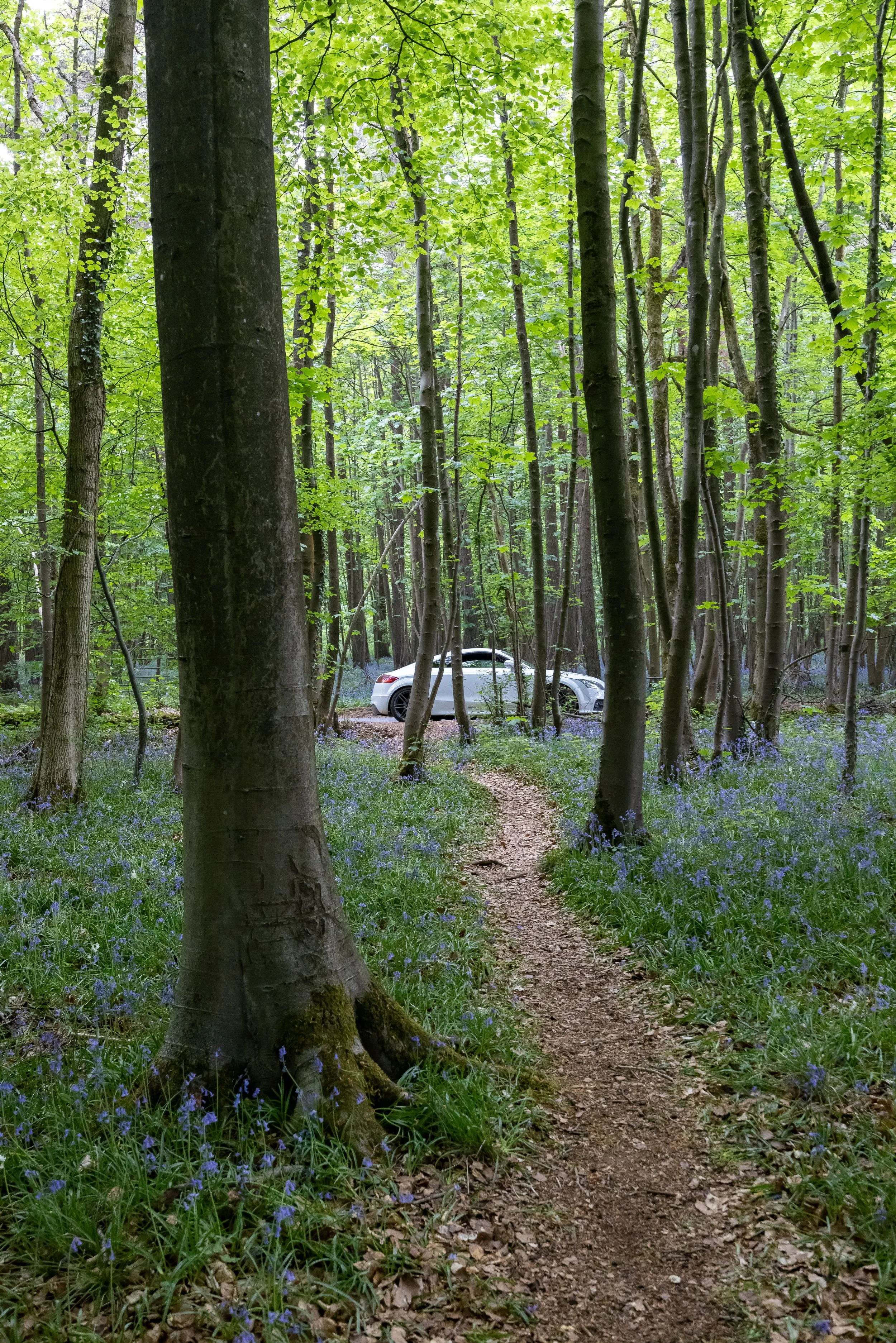 _54A3266.jpg