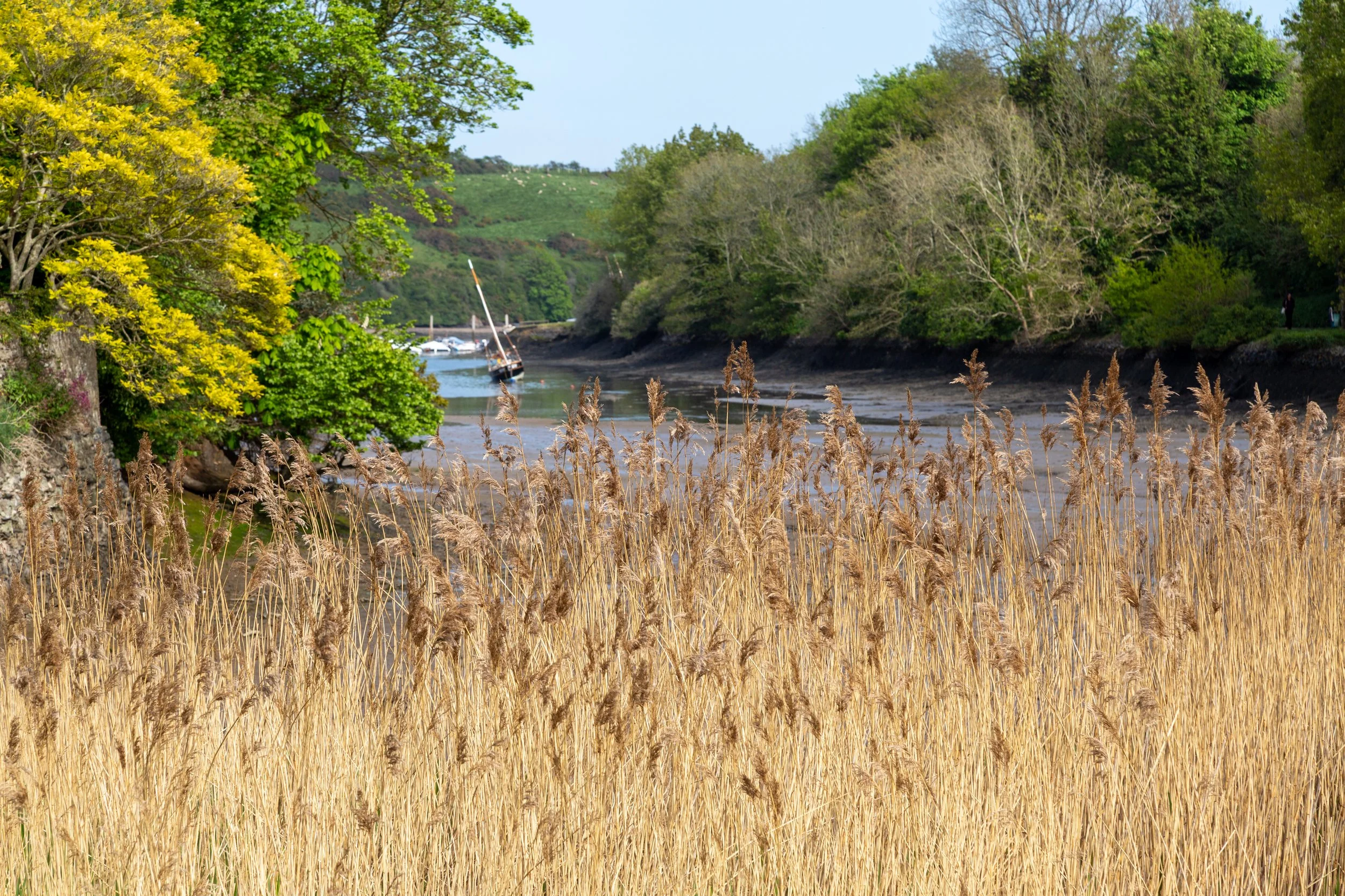 _MG_4017.jpg