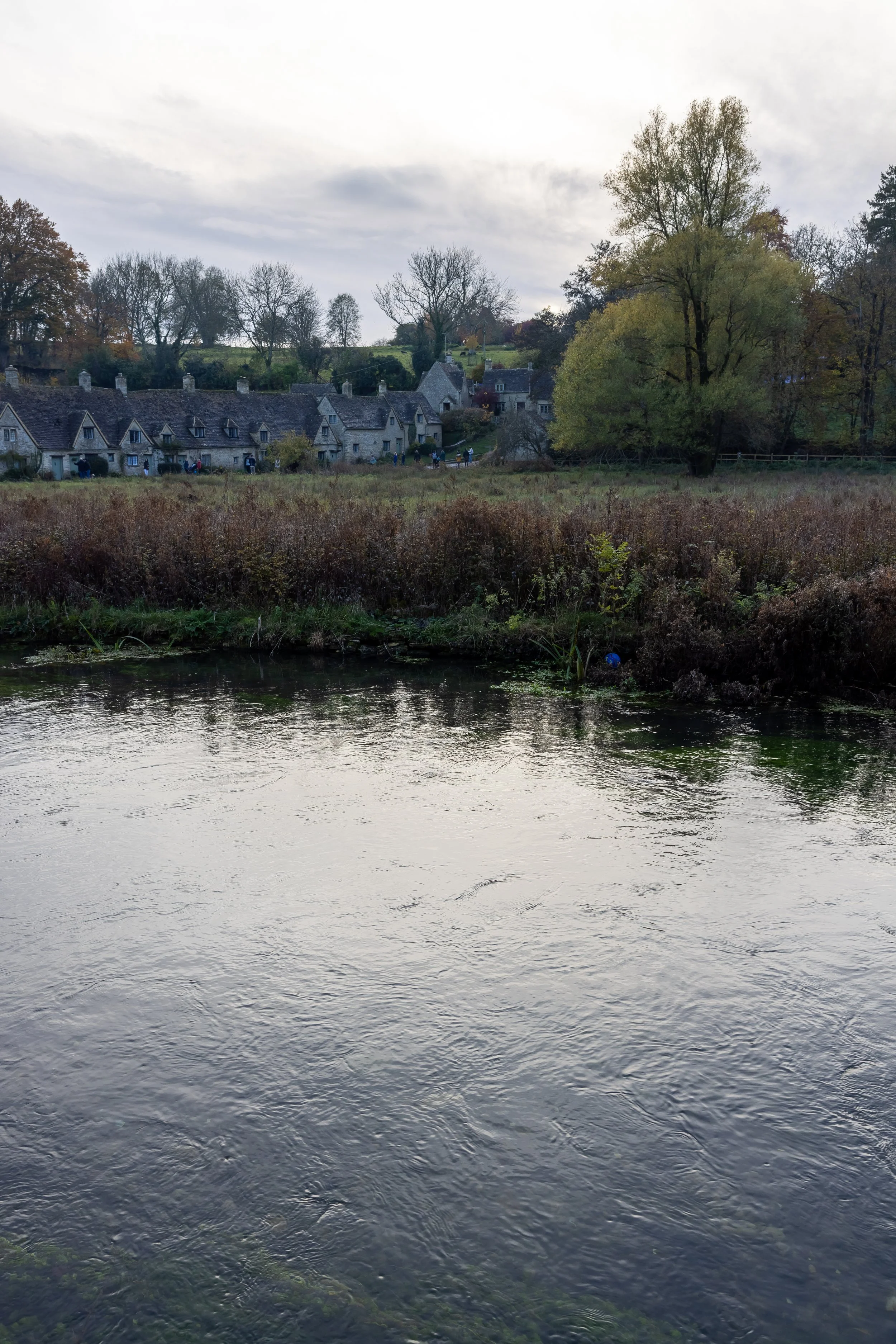 _54A7854.jpg