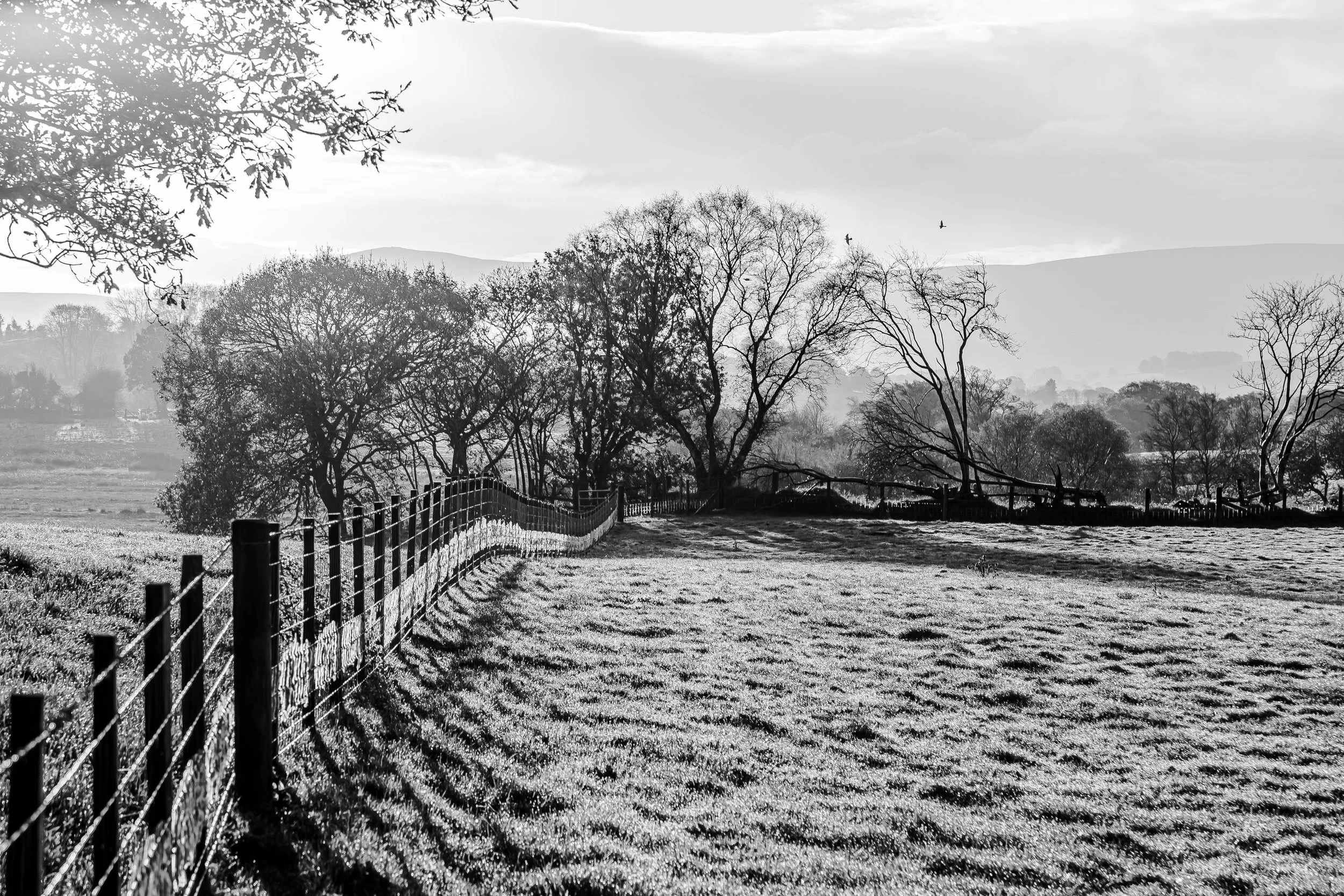 _MG_2561-HDR.jpg
