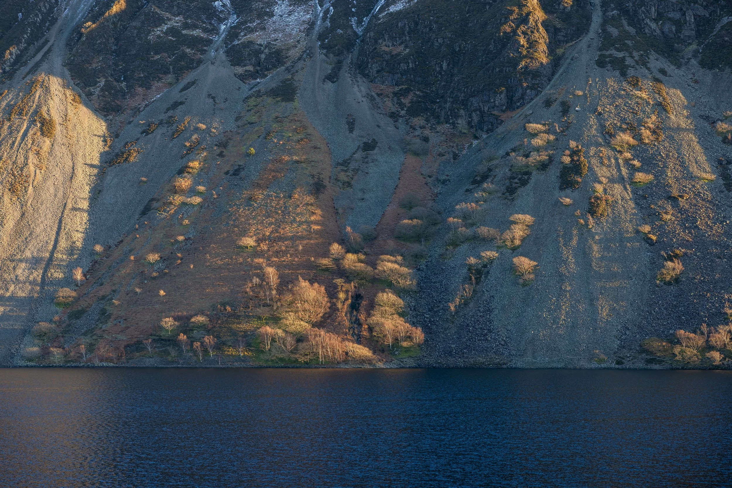 _54A8708.jpg