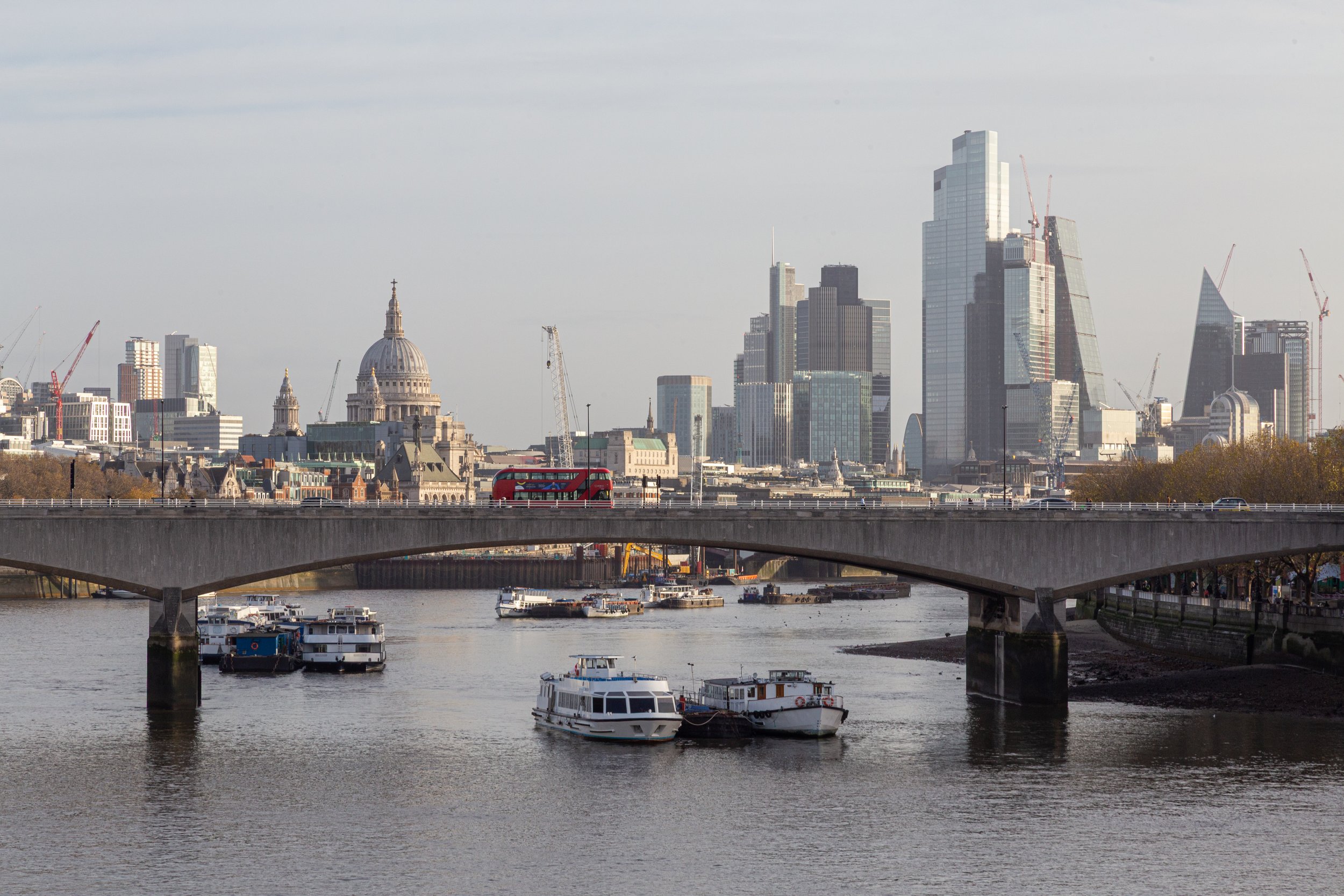 _MG_5965.jpg