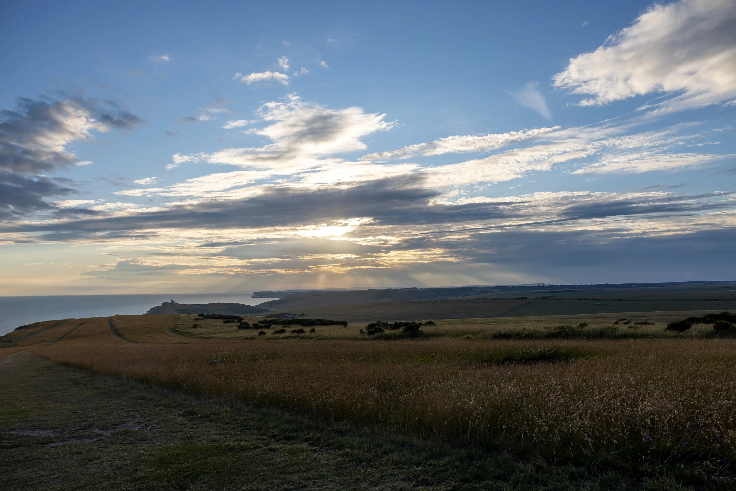 _54A1135.jpg