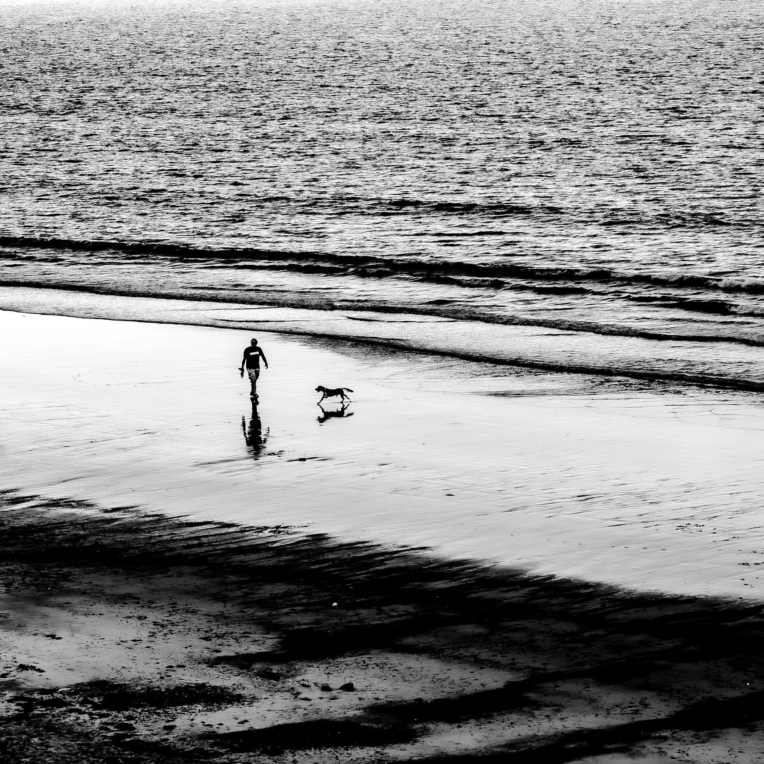 _MG_9061.jpg