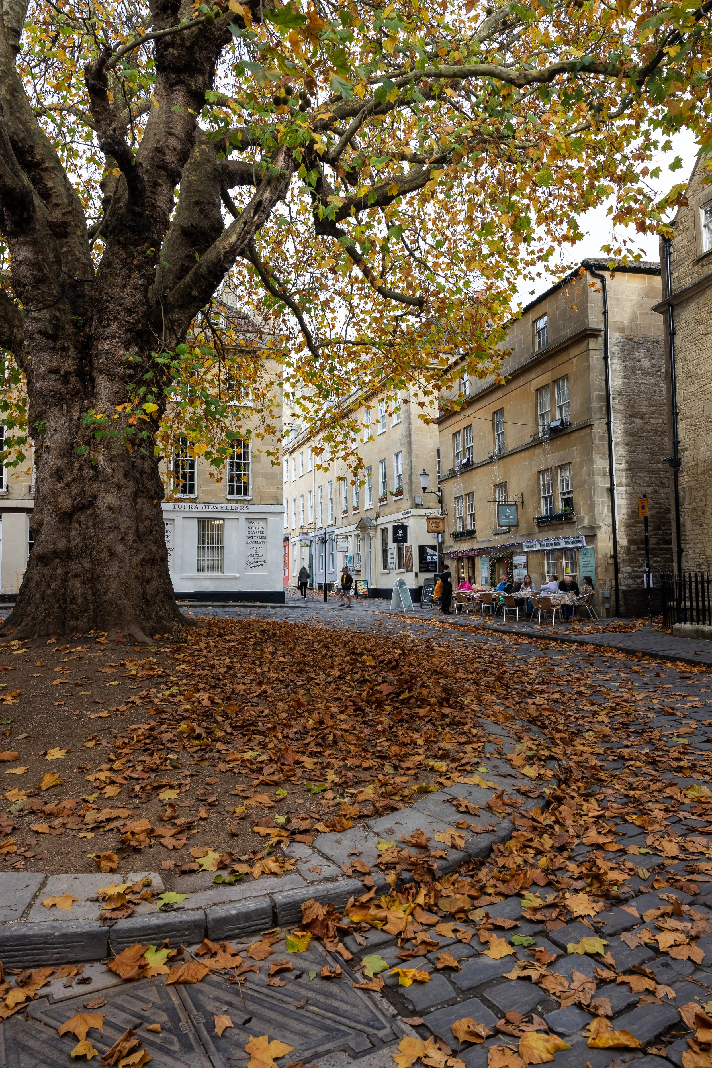 _54A4594.jpg