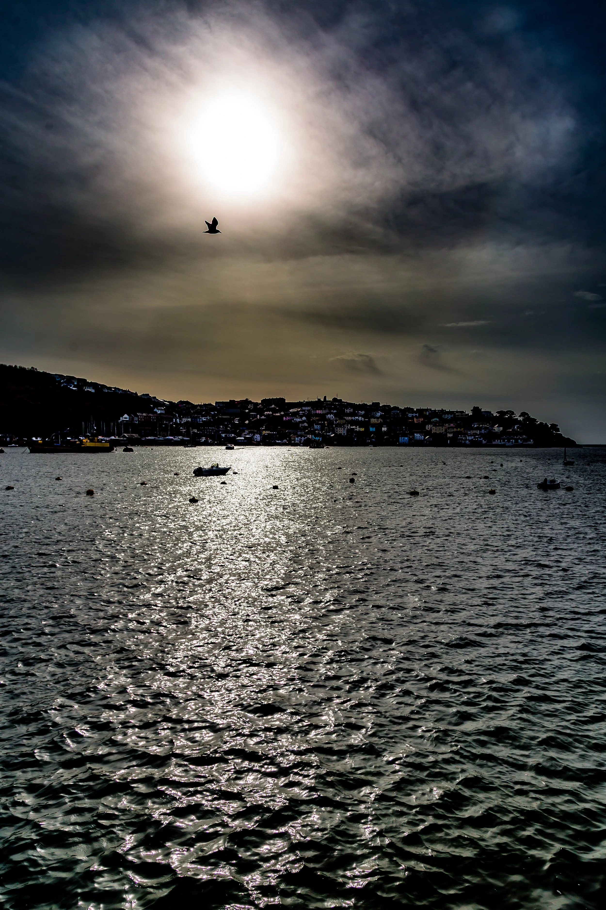 _MG_5525.jpg