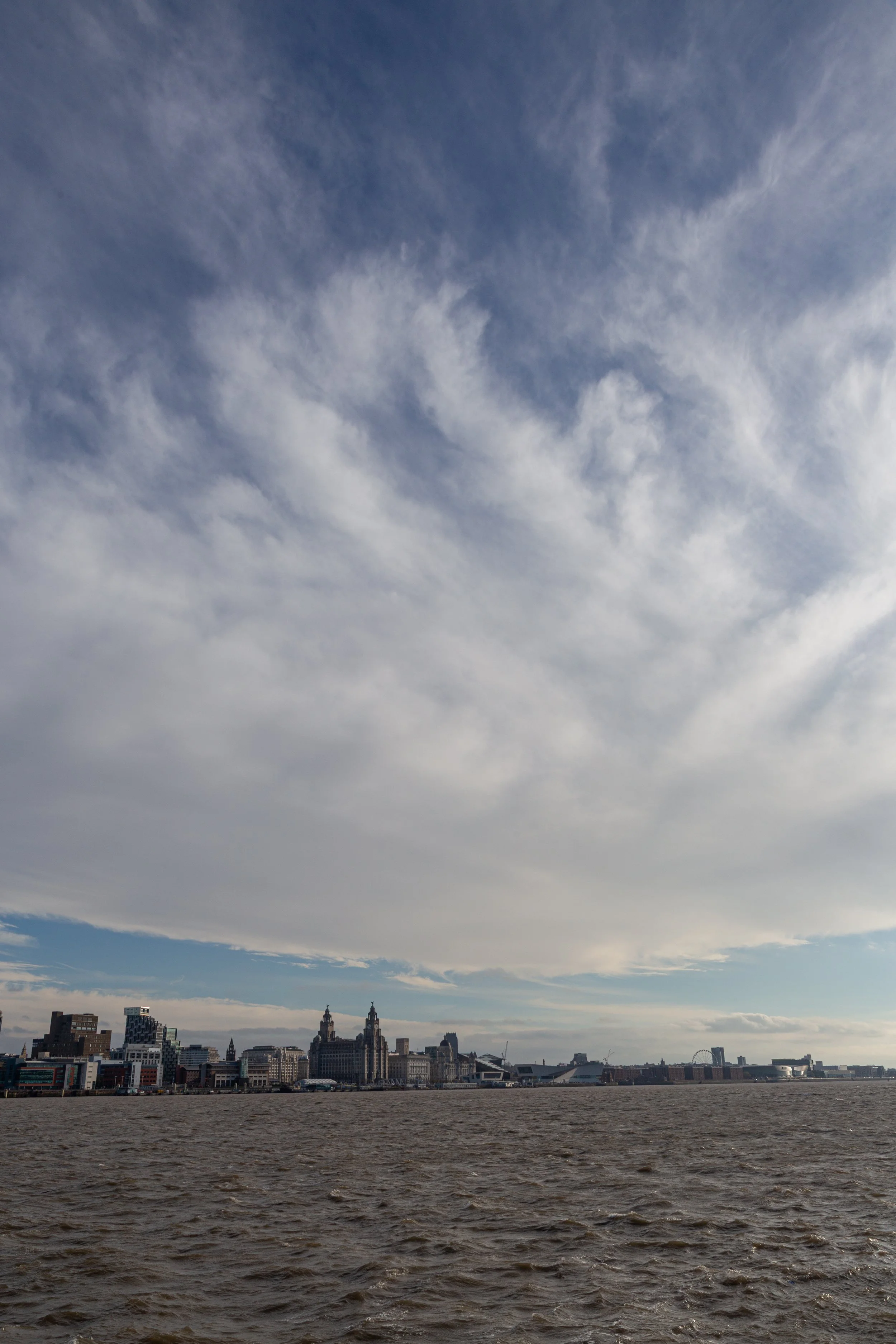 _MG_5645.jpg