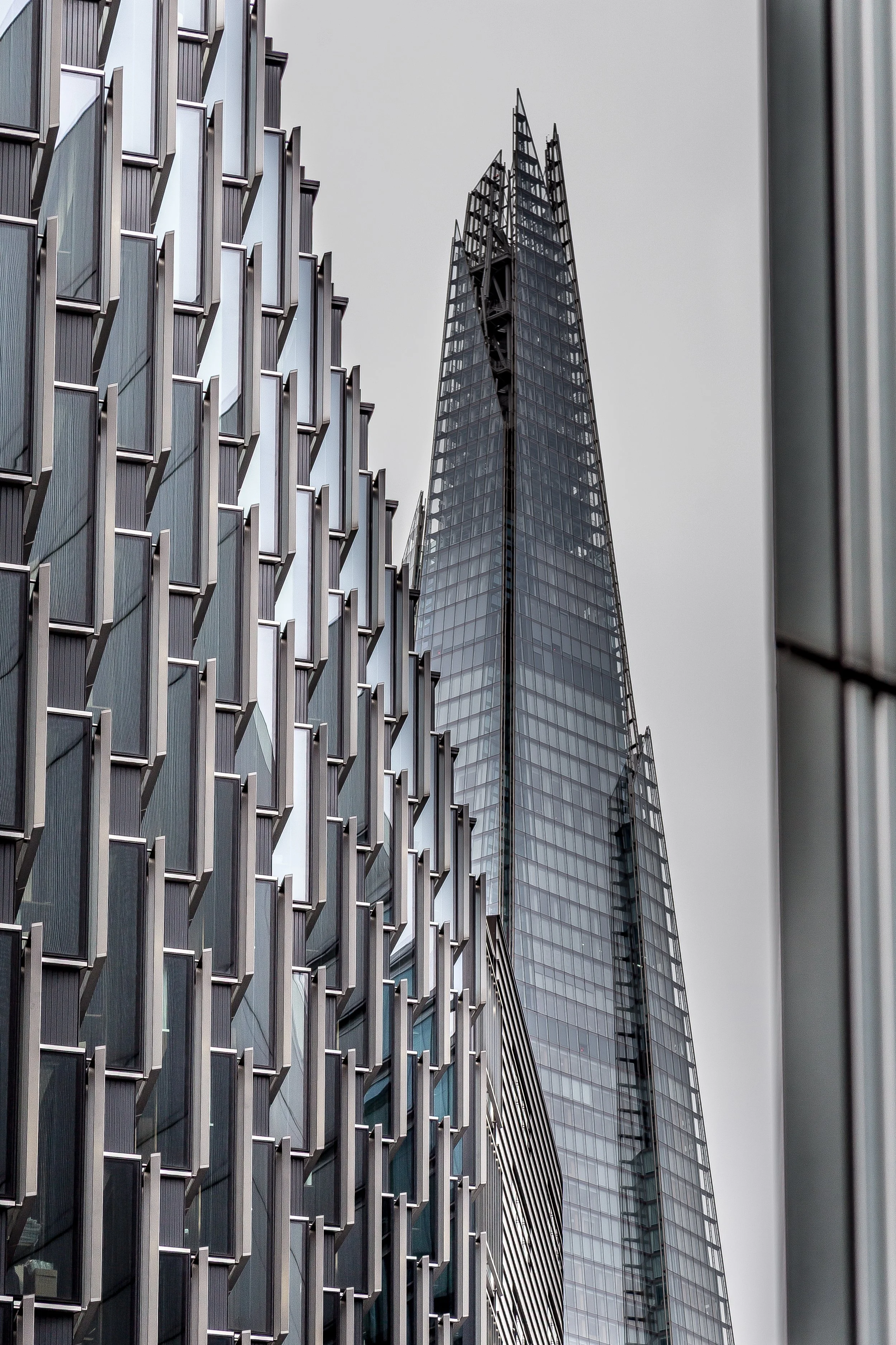 _MG_3326.jpg