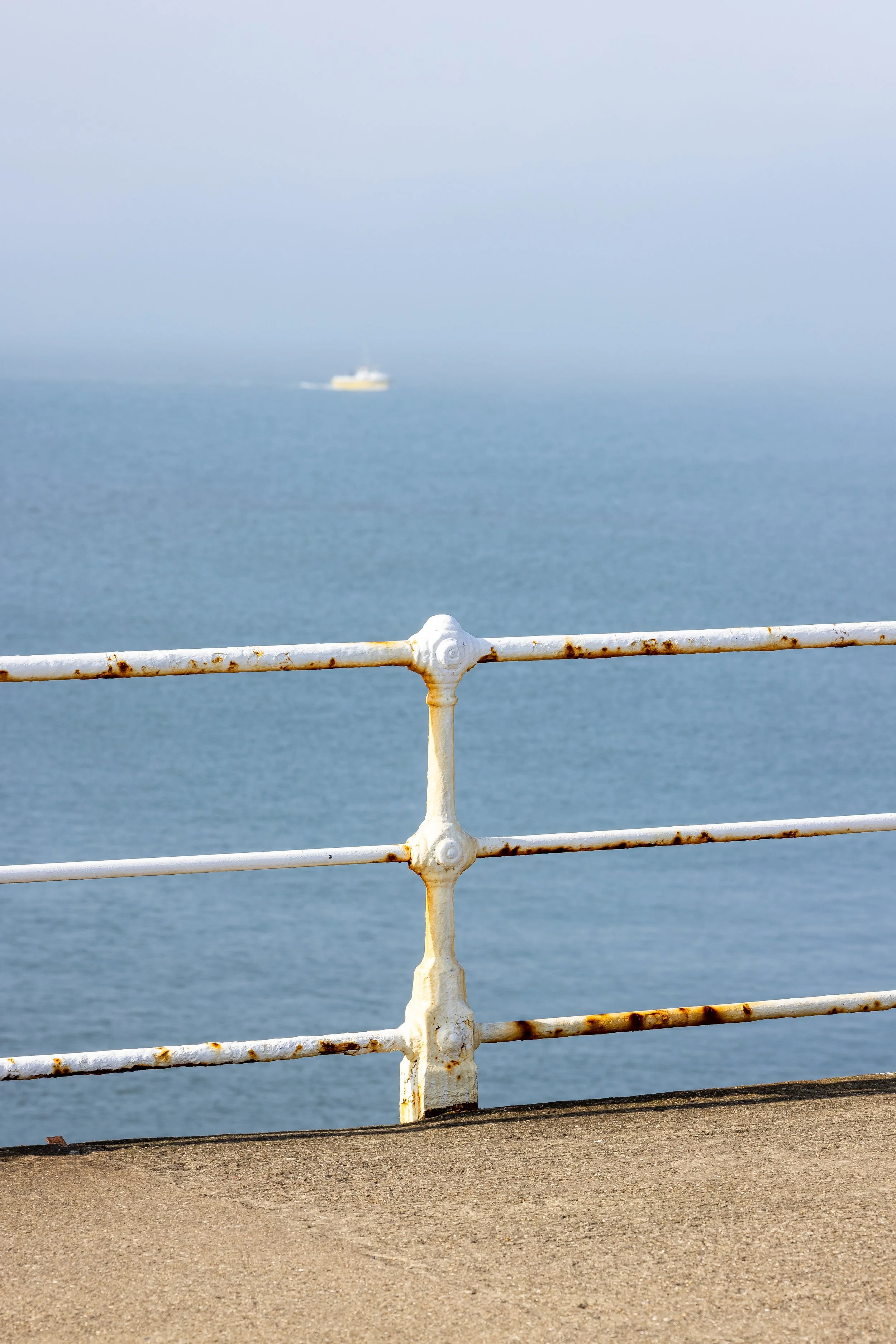 _54A4986.jpg
