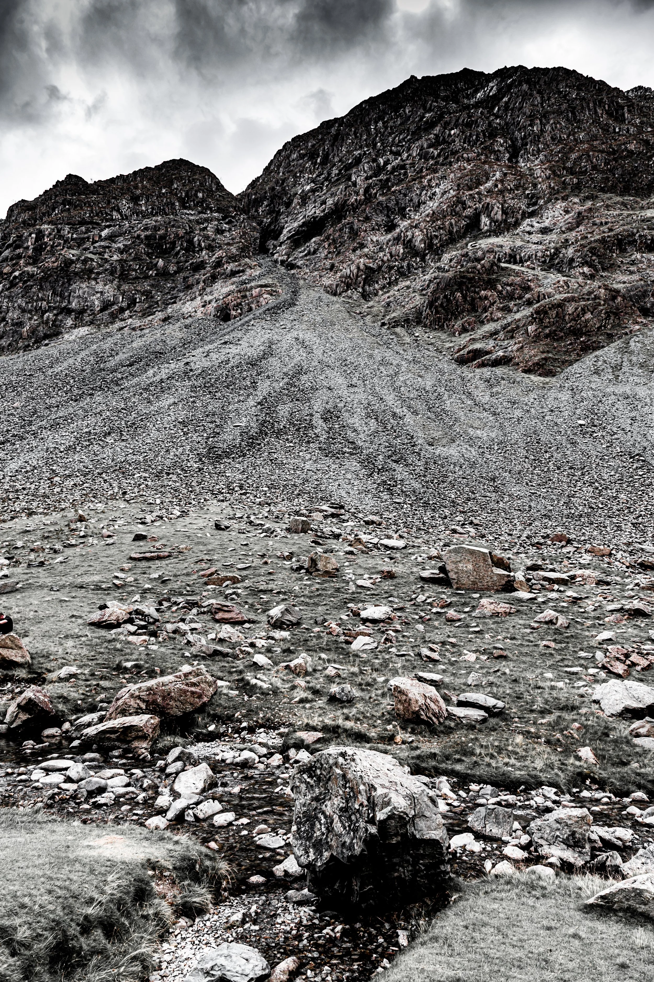 _MG_0824.jpg