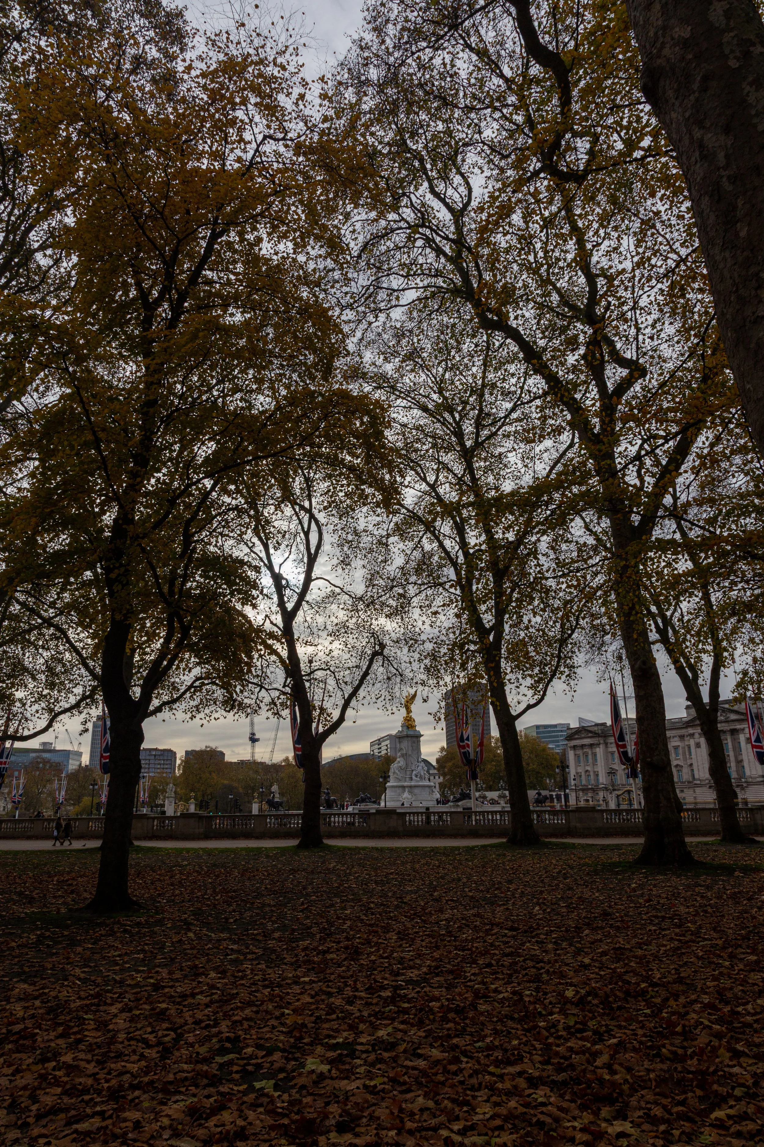 _MG_6075.jpg