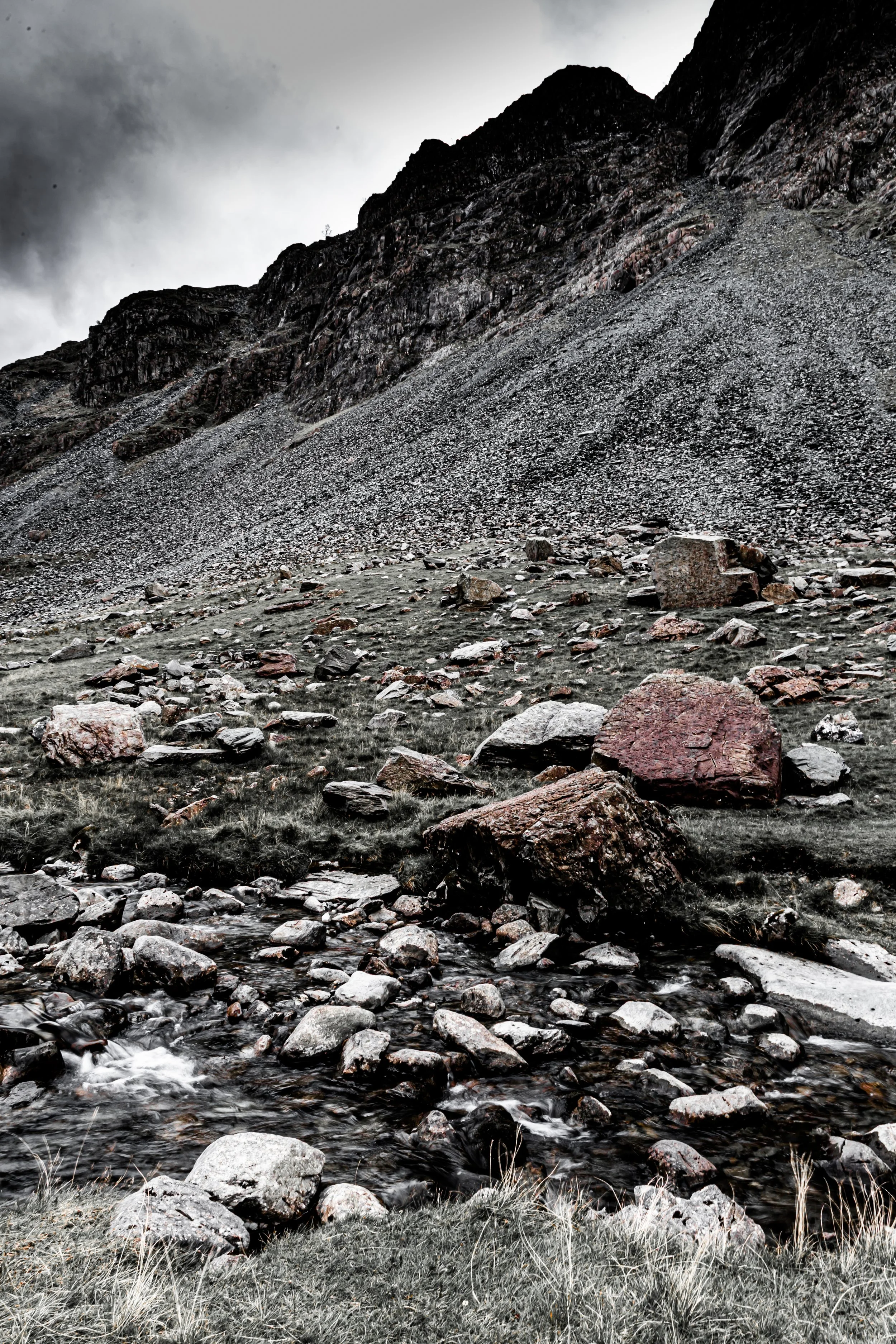 _MG_0833.jpg