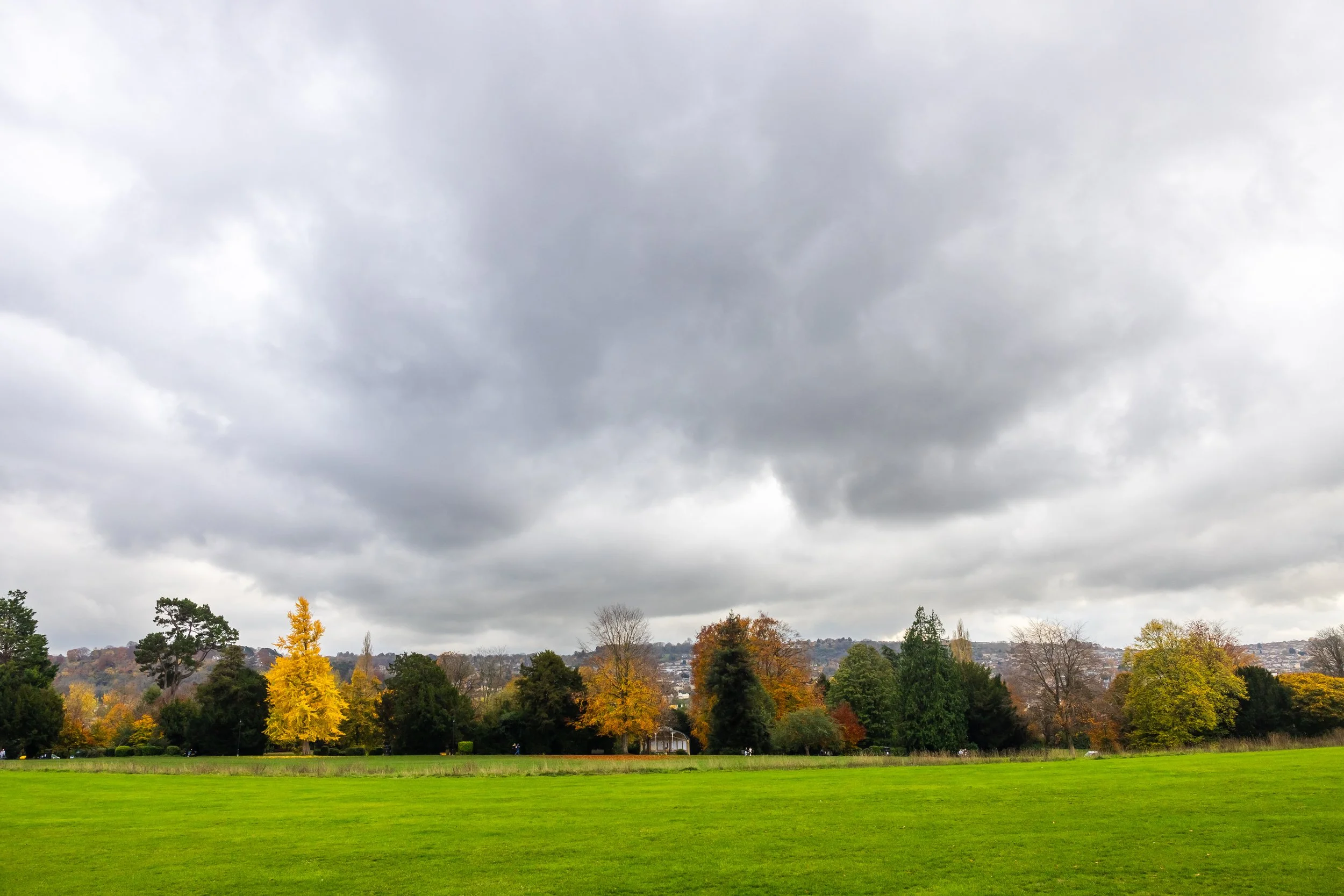 _54A4637.jpg