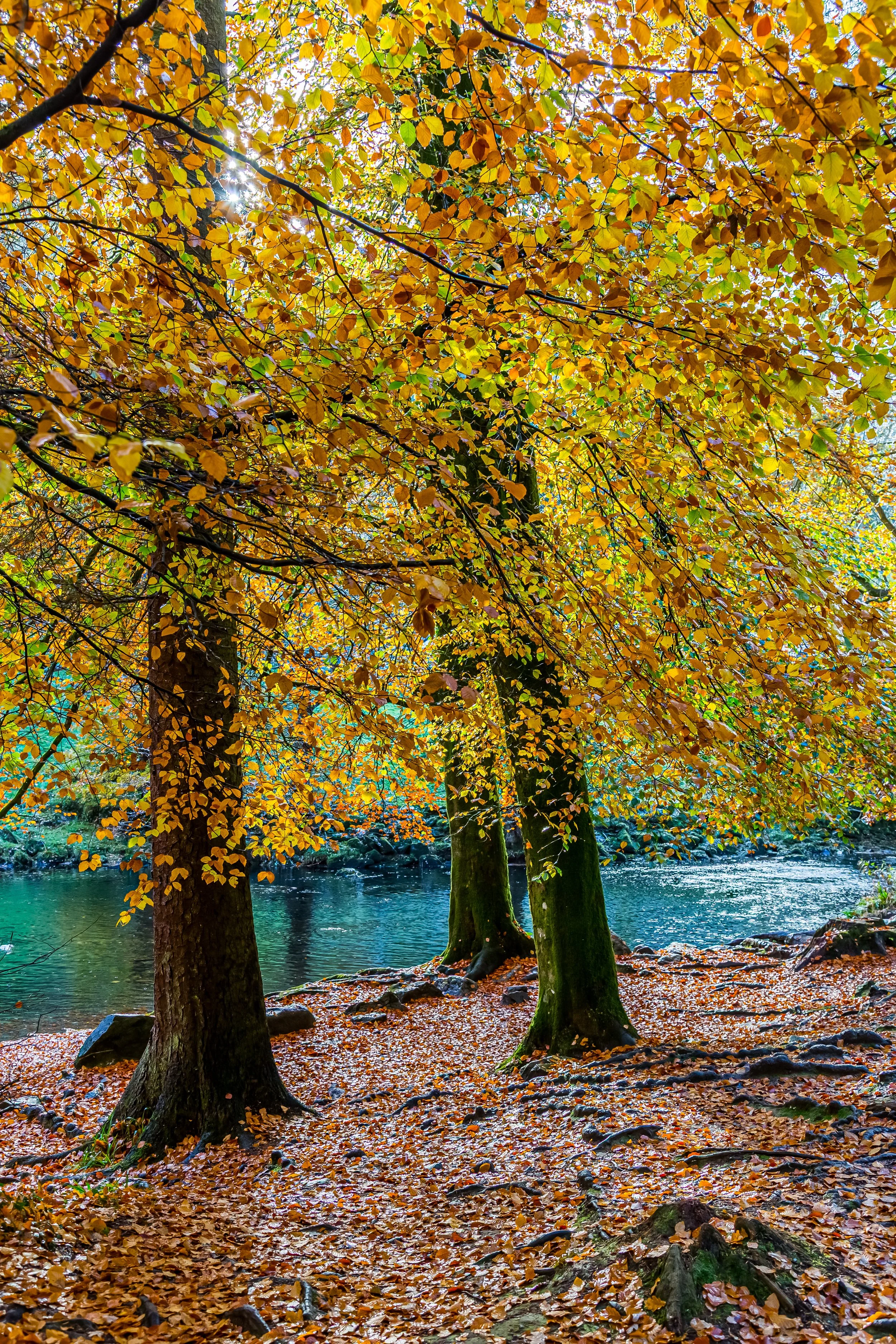 _MG_2767-HDR.jpg