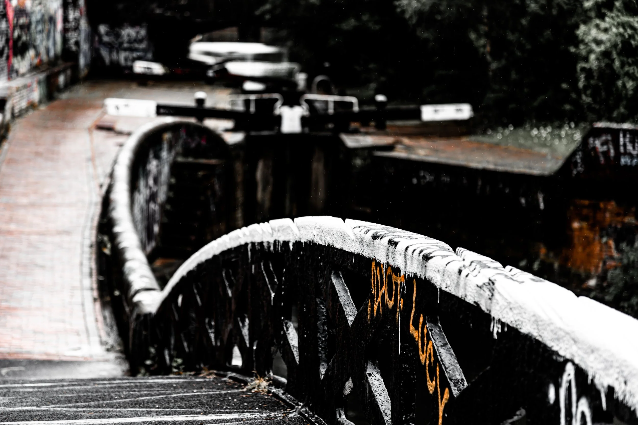 _MG_8379.jpg