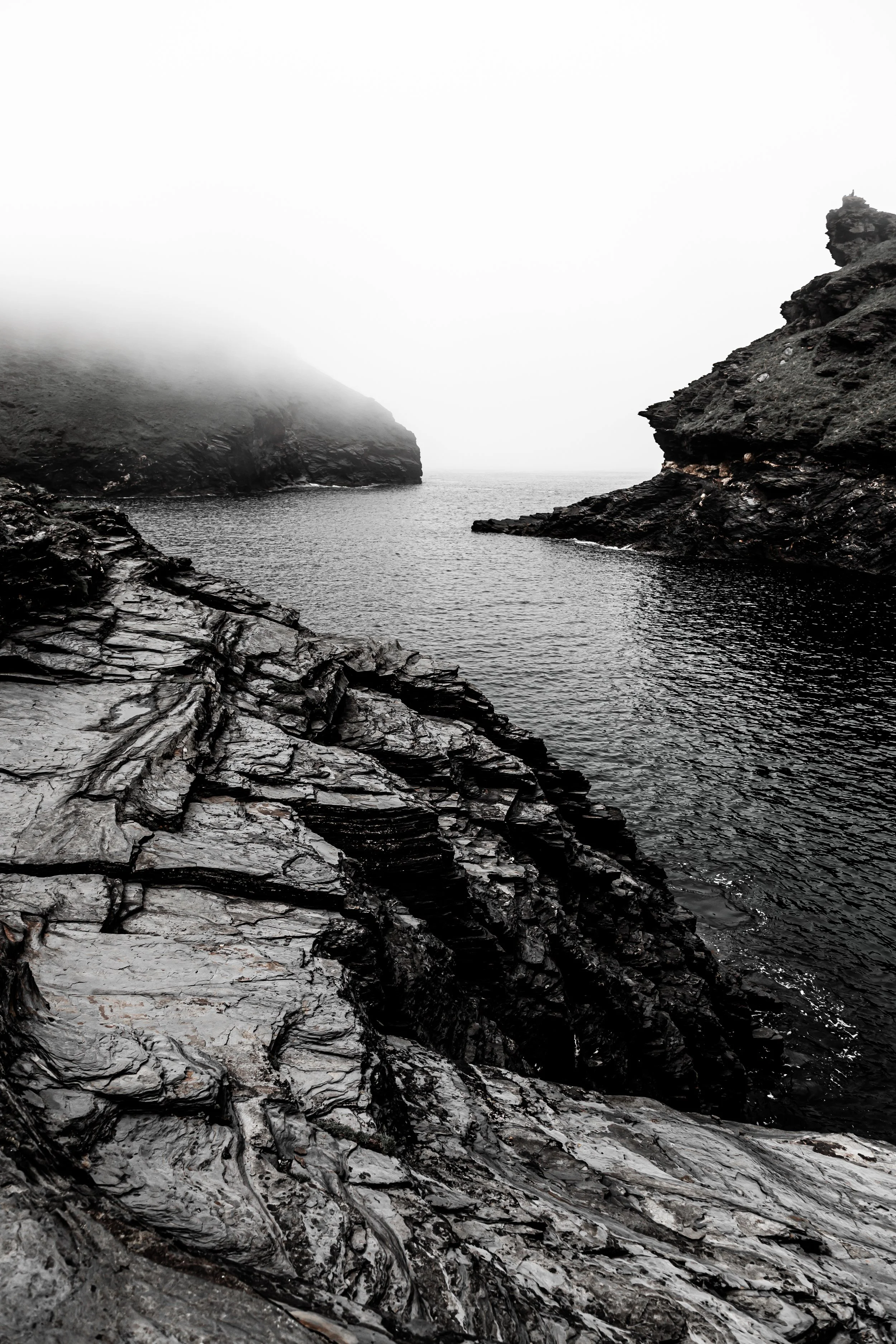 _MG_1019.jpg