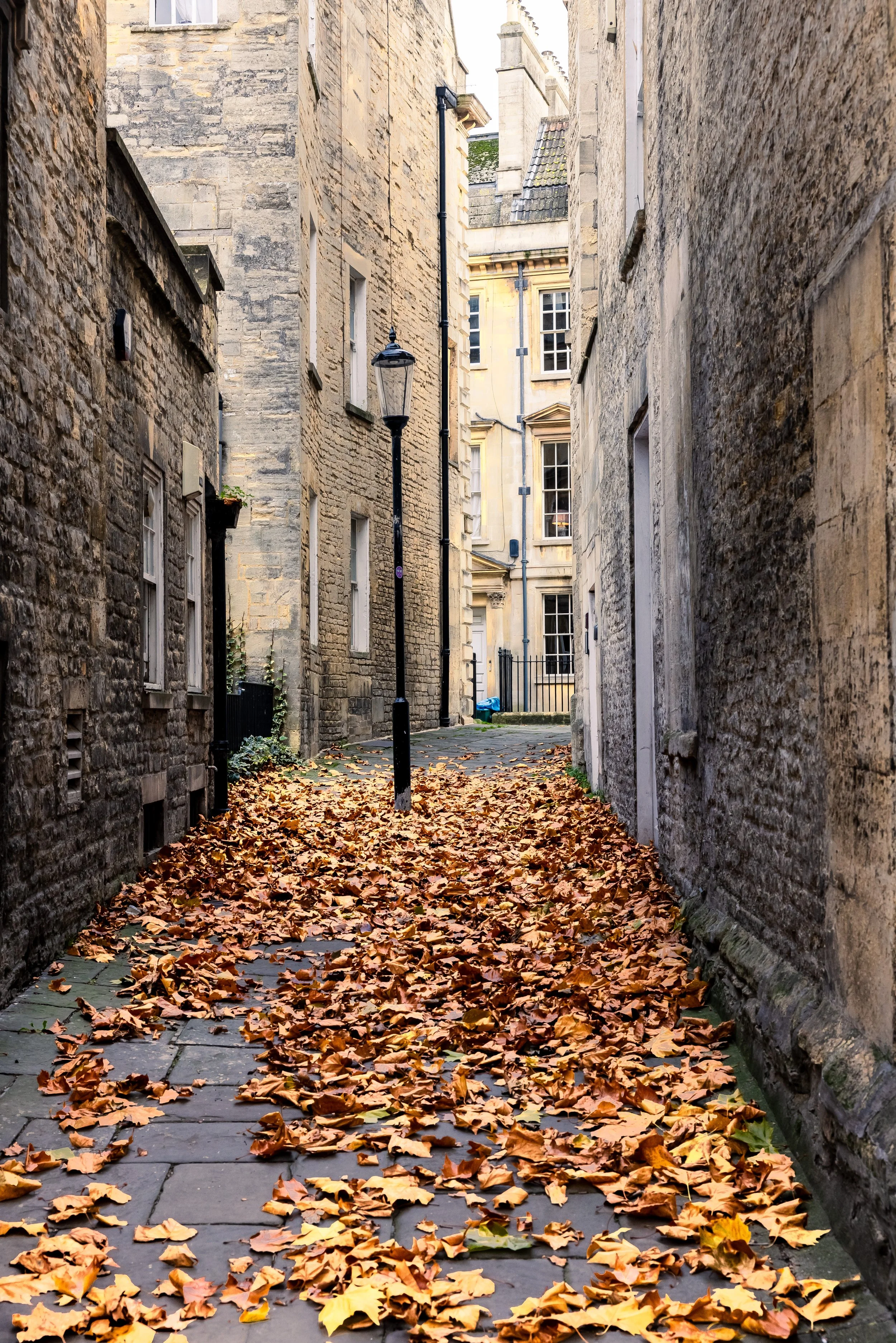 _54A4596.jpg