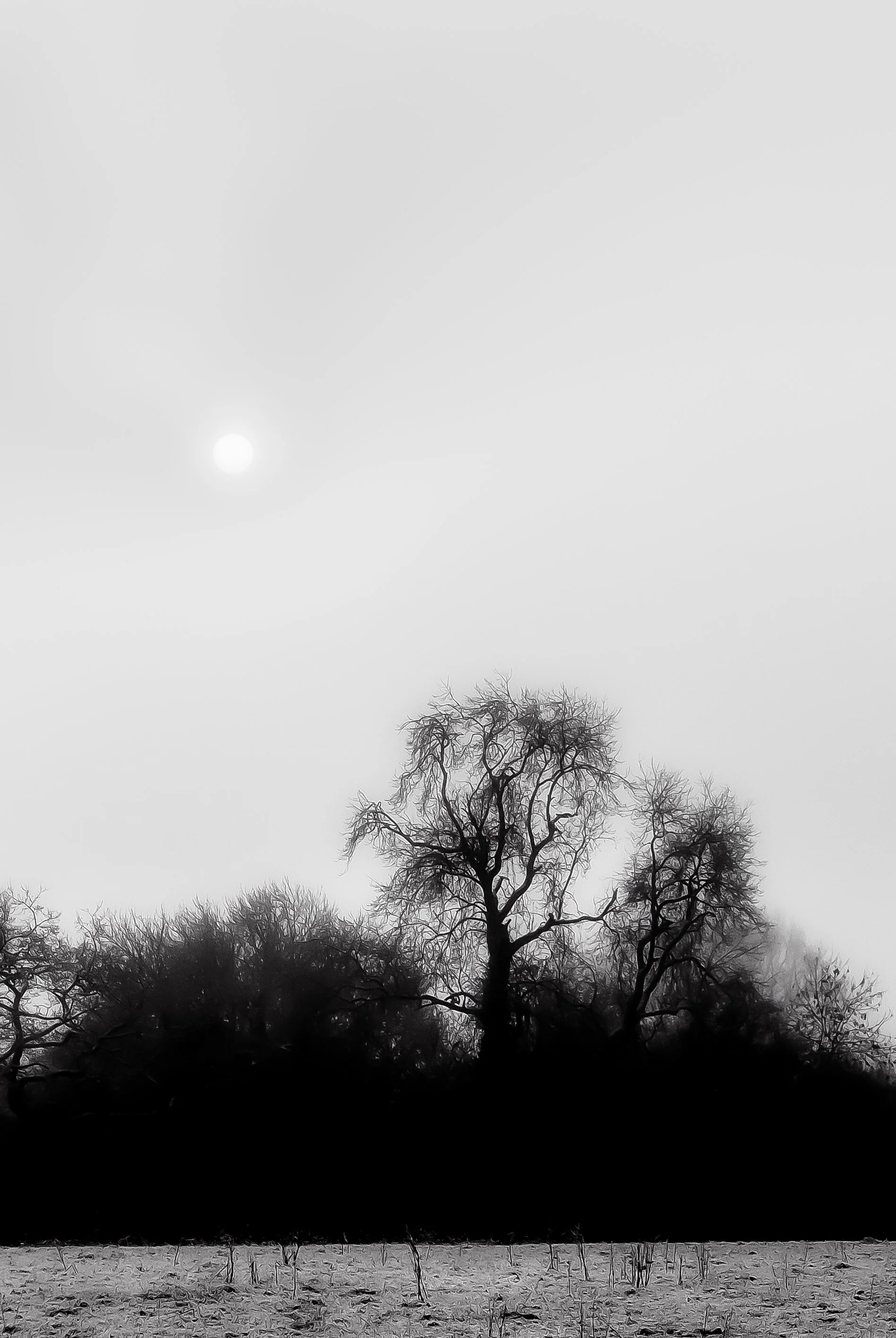 P1060050-PS-2.jpg