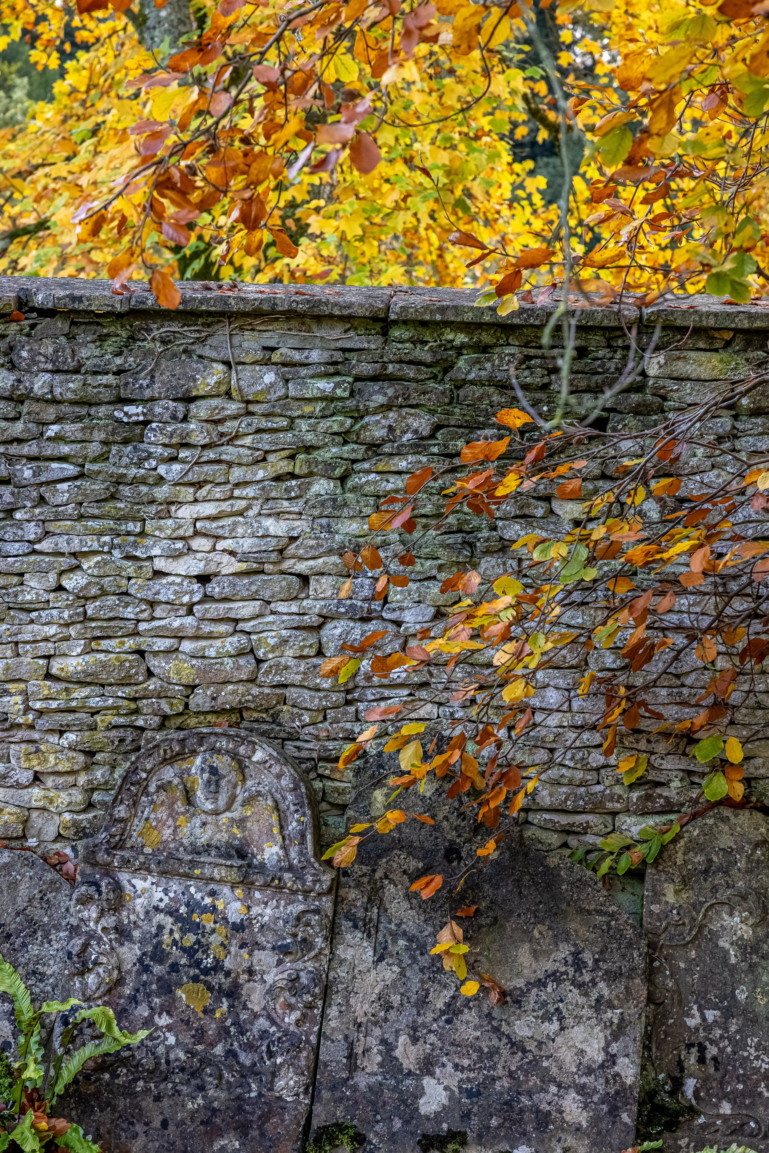 _54A7794.jpg
