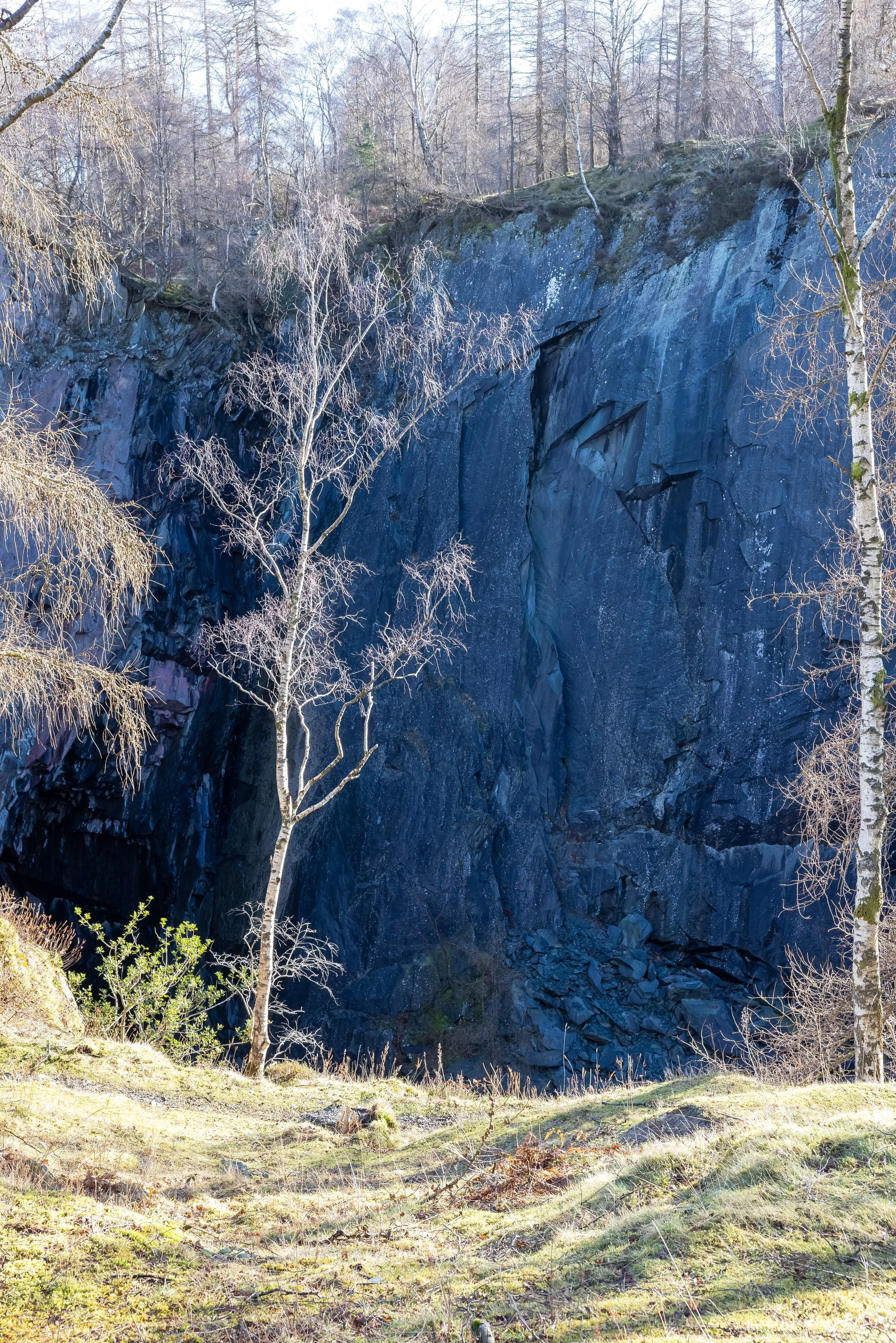 _54A2170.jpg