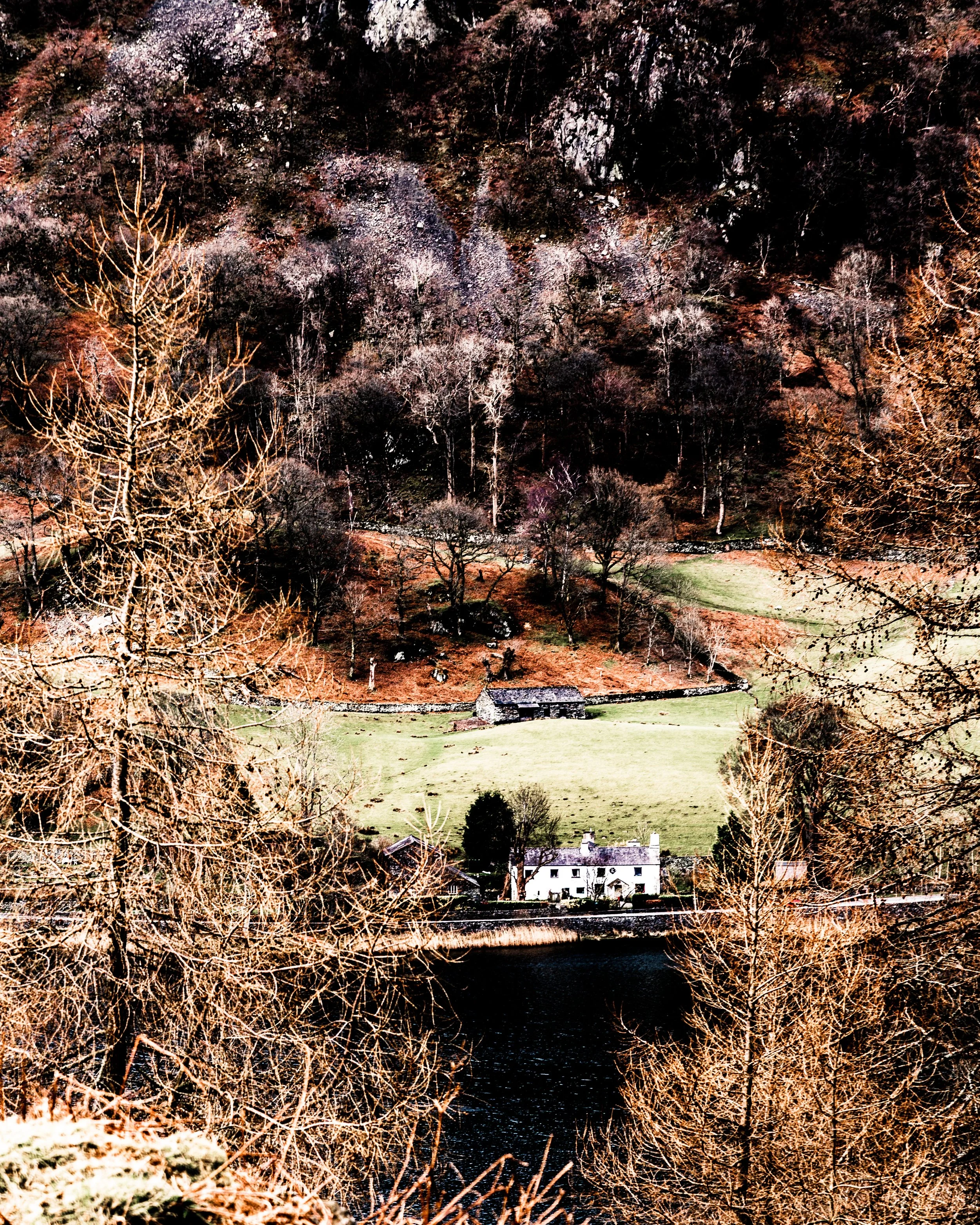 _MG_0624.jpg
