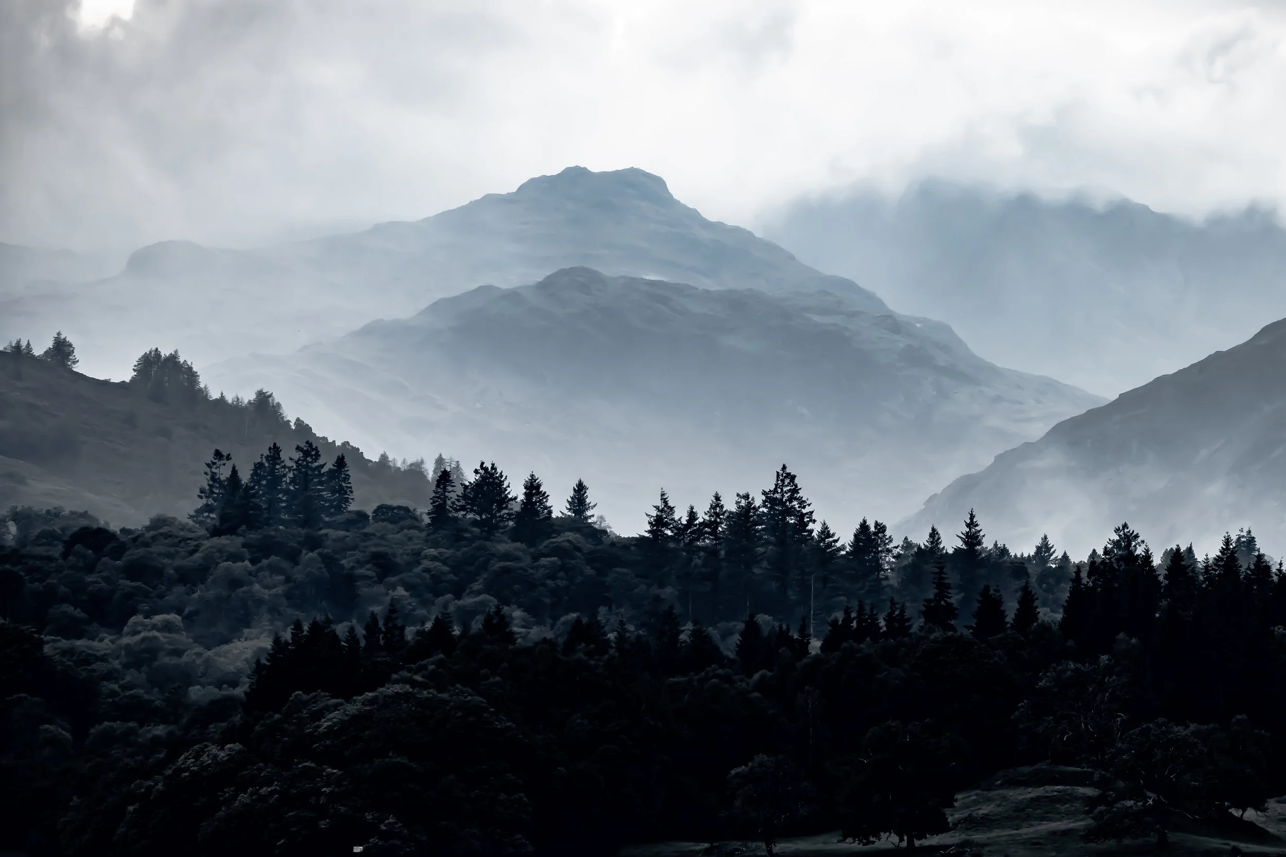 _54A7246.jpg