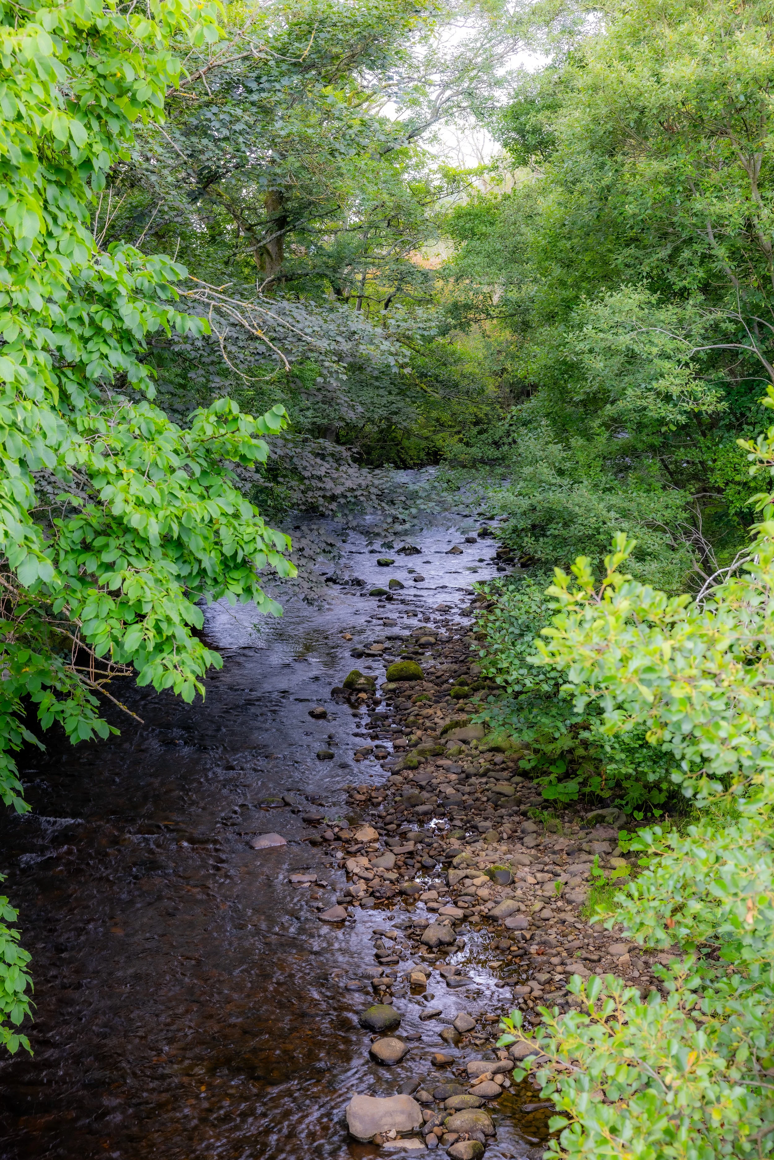 _54A7227.jpg