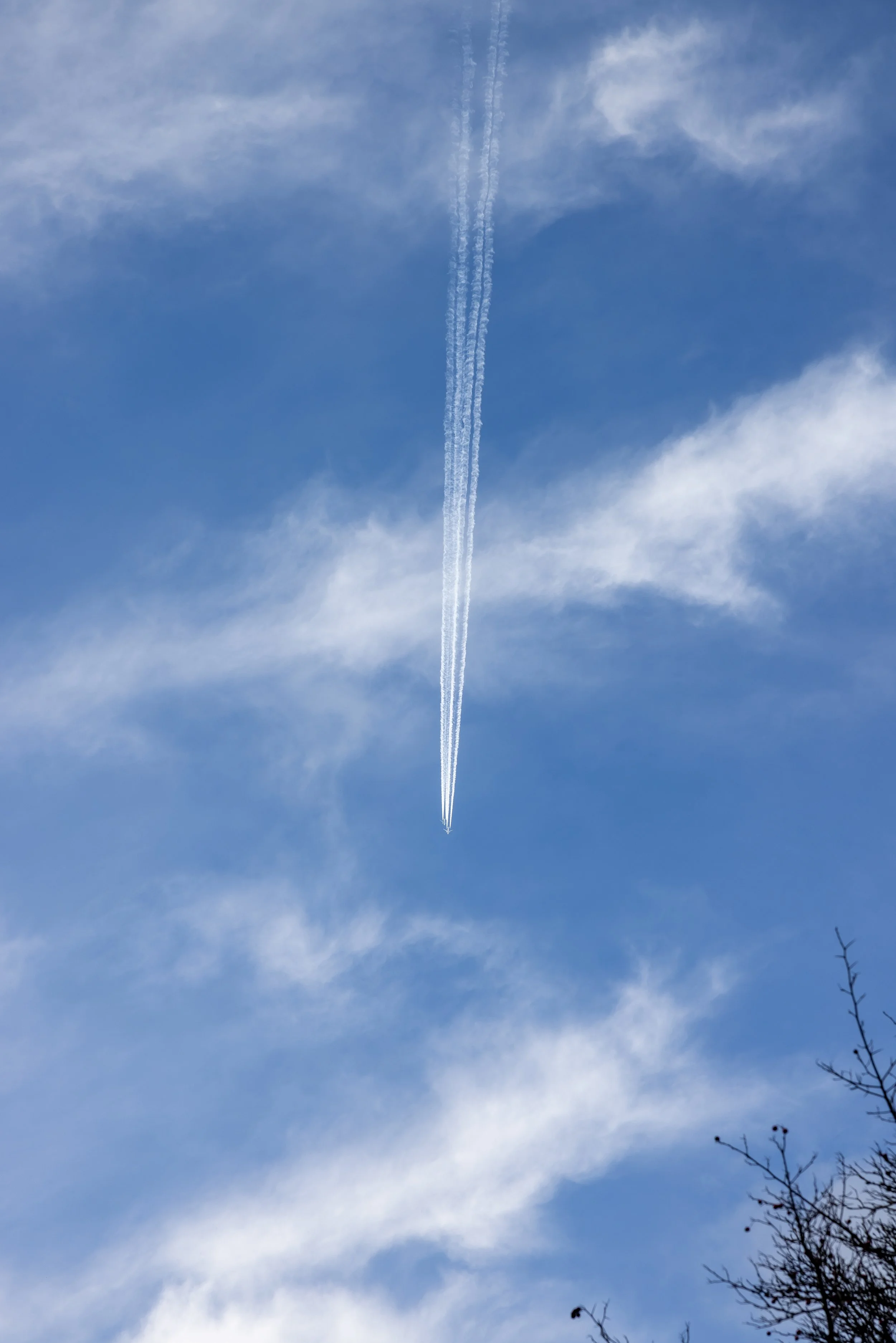 _54A7779.jpg