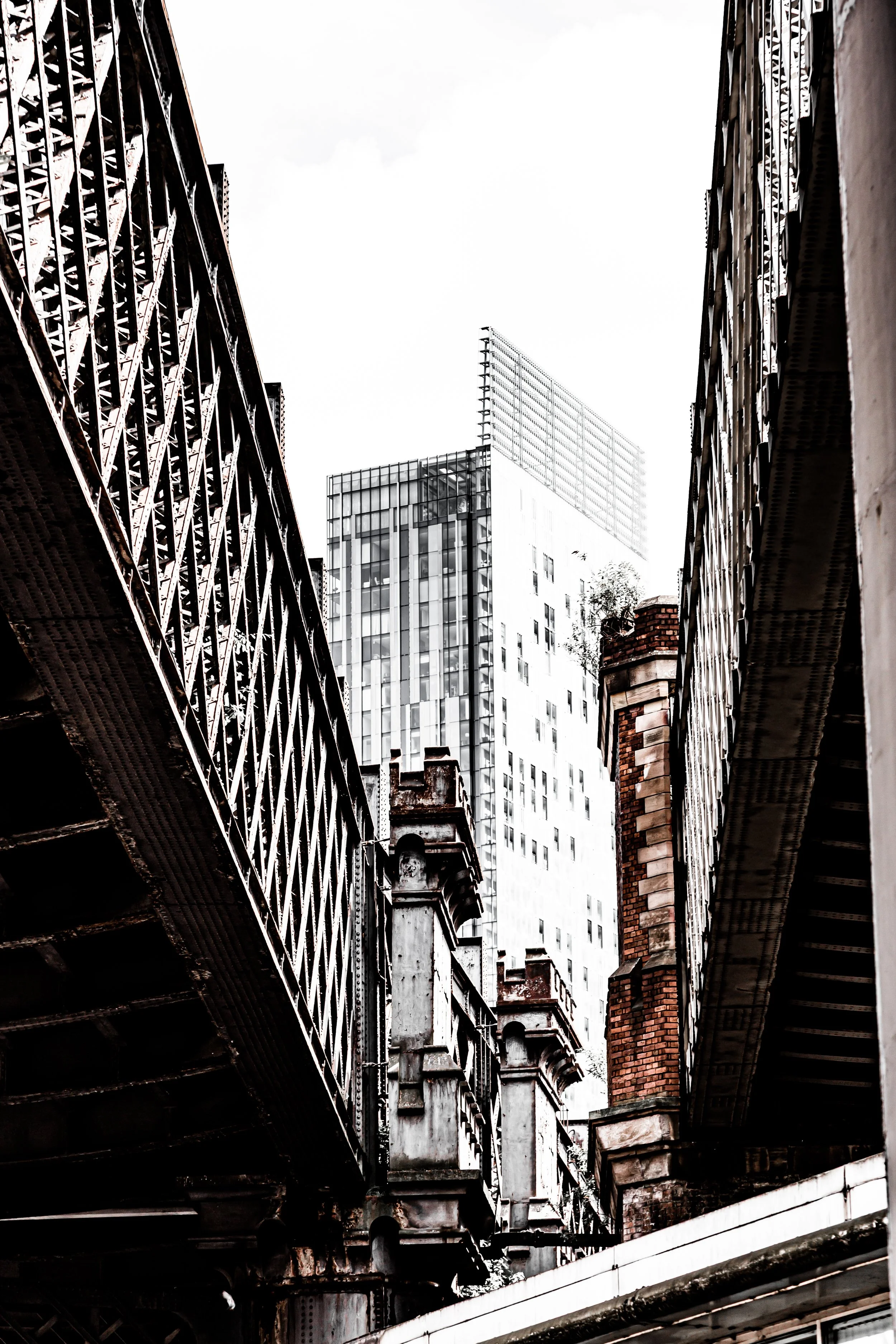 _MG_1413.jpg