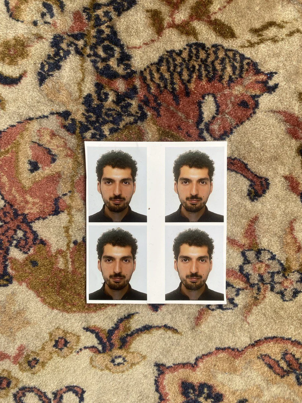 Set of four passport-style photos of a man with curly dark hair and facial hair, arranged in a 2x2 grid on a patterned carpet.