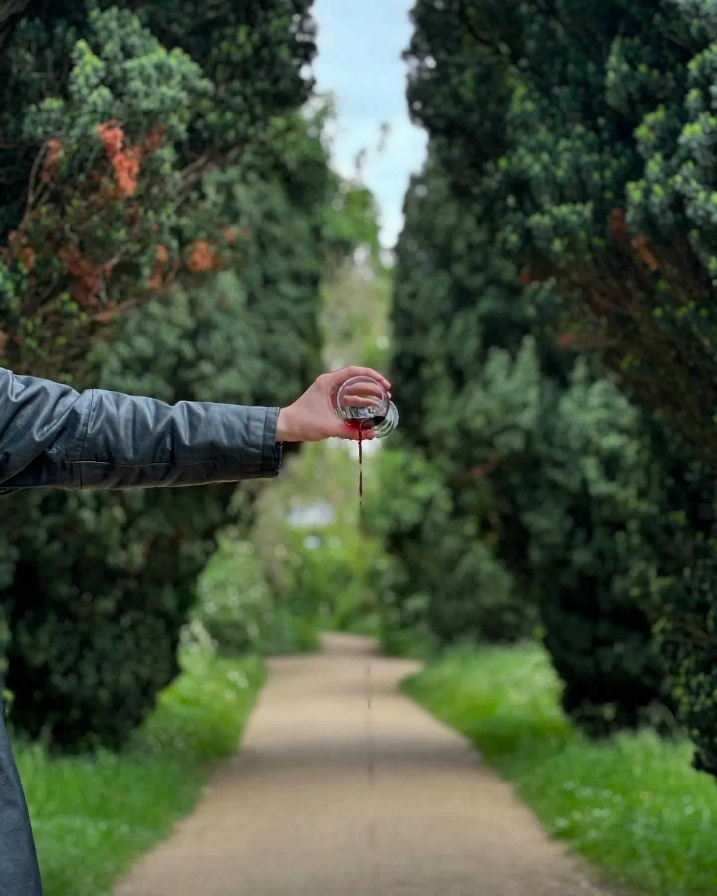 Person in a gray jacket pouring a dark-colored beverage from a glass bottle onto a dirt path in a green, wooded outdoor setting.