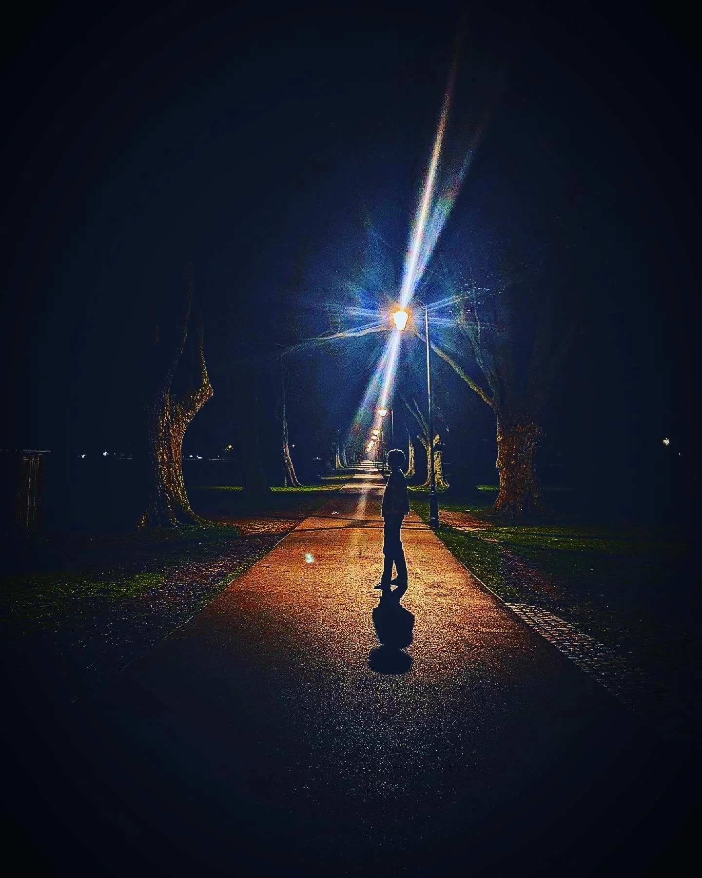 Night scene of a person standing on a sidewalk under streetlights, casting a long shadow, with the street illuminated by the streetlights and trees lining the sidewalk.
