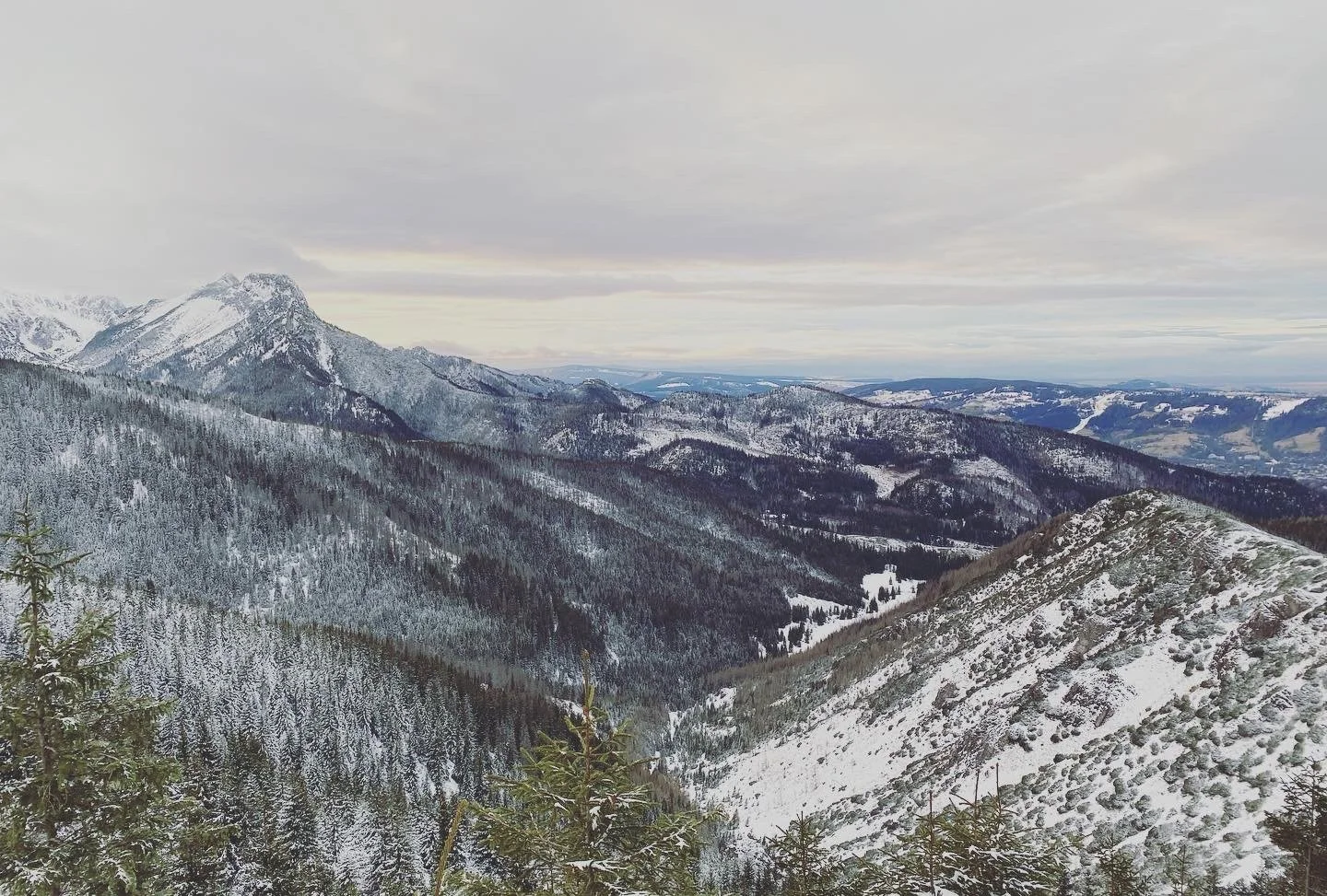 Snow-covered mountain range with dense forest in the valley and overcast sky