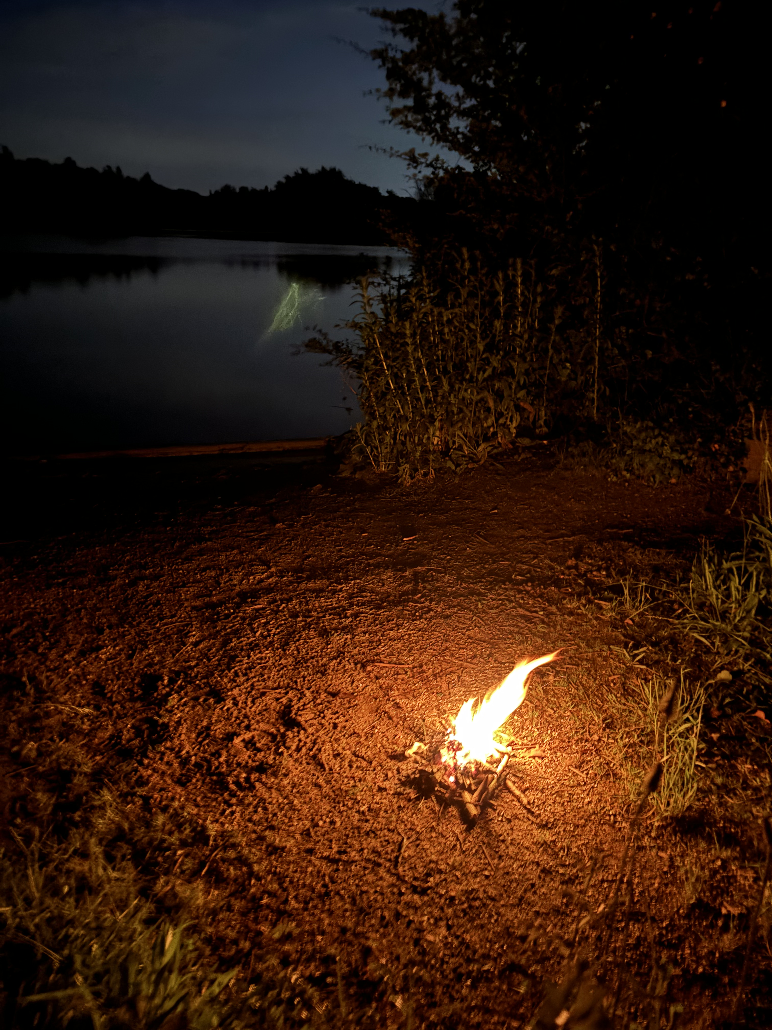 A small campfire burning on the ground near bushes at night, with a dark lake and trees in the background under a cloudy sky.