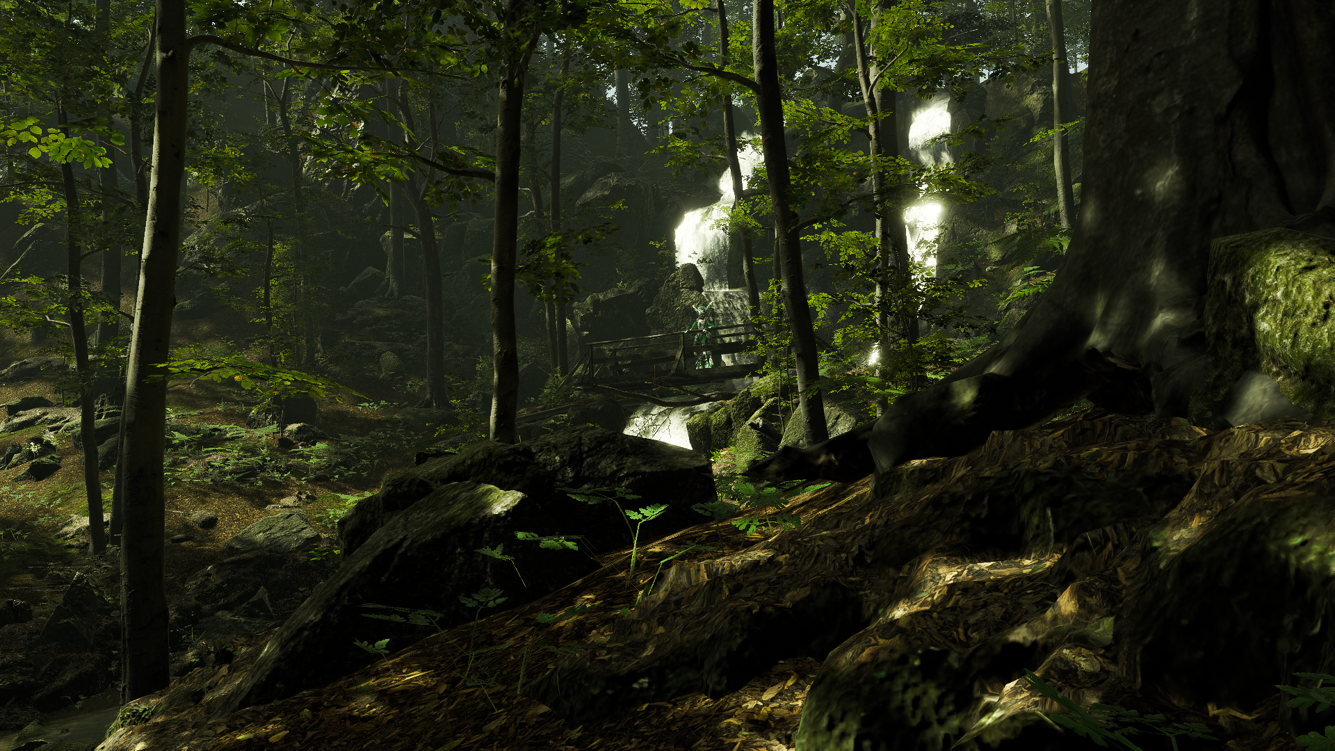 Dense green forest with tall trees, rocks, and a small wooden bridge over a stream. Sunlight filters through the foliage.